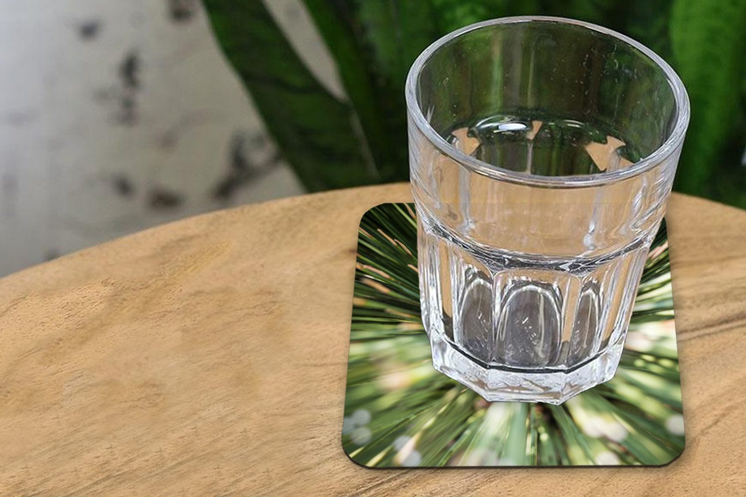 MuchoWow Glasuntersetzer Kaktus - Abstrakt Tischuntersetzer, für Tasse Korkuntersetzer, Gläser, Untersetzer, Pflanze, 6-tlg., Glasuntersetzer, Zubehör 