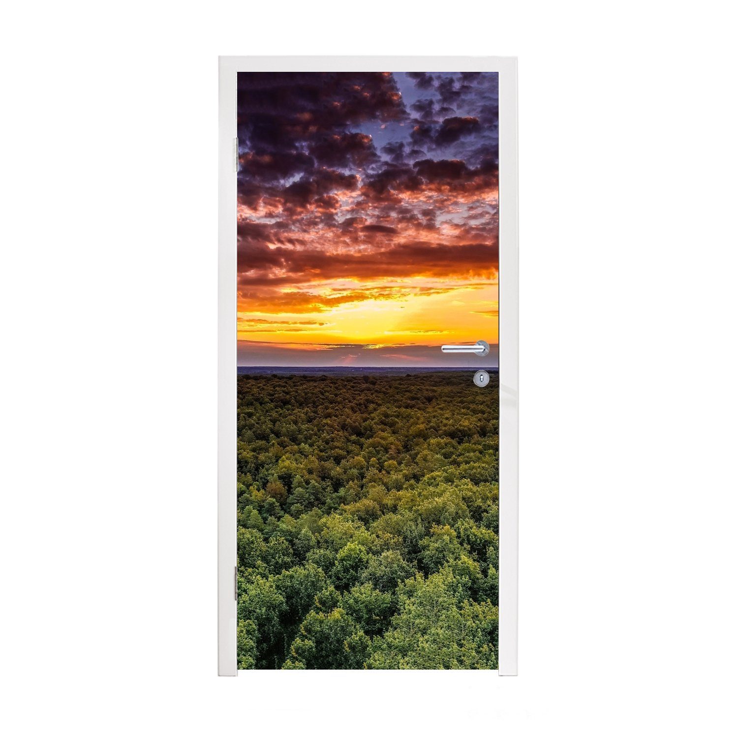 MuchoWow Türtapete Wald - Nacht - Himmel - Horizont - Bäume, Matt, bedruckt, (1 St), Fototapete für Tür, Türaufkleber, 75x205 cm