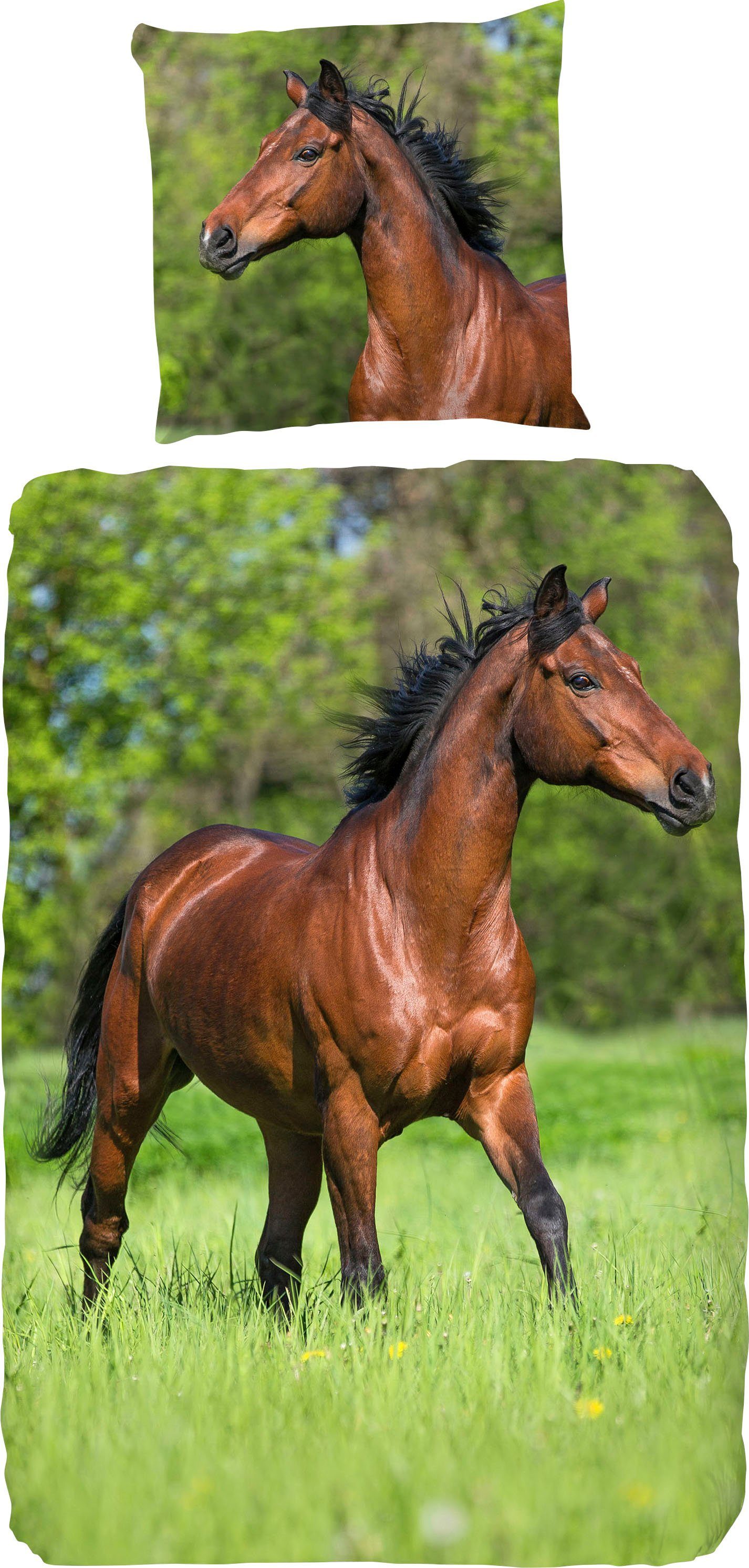 good morning Kinderbettwäsche Running horse, Renforcé, günstig online kaufen