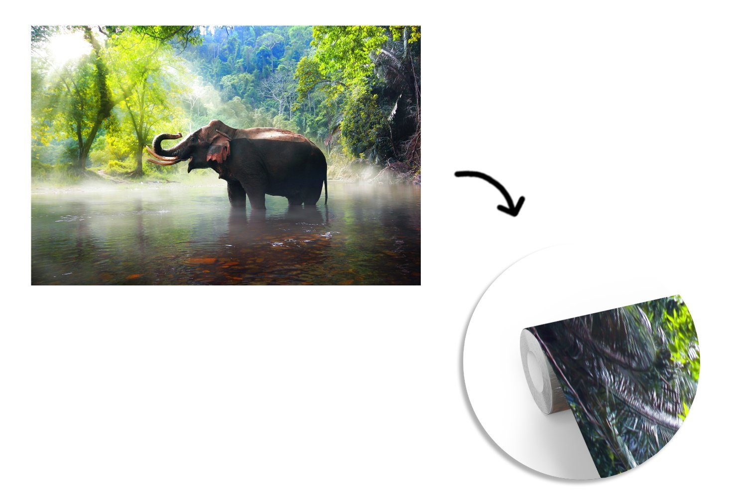 Elefant Wasser Wohnzimmer, St), - Matt, bedruckt, Fototapete (6 für Natur, Wallpaper Schlafzimmer, - Kinderzimmer, Vinyl MuchoWow Tapete