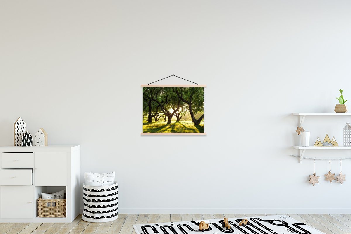 - Bäume Natur MuchoWow - Poster Magnetisch Posterleiste, St), Wohnzimmer, Sonne, Textilposter Bilderleiste, für (1
