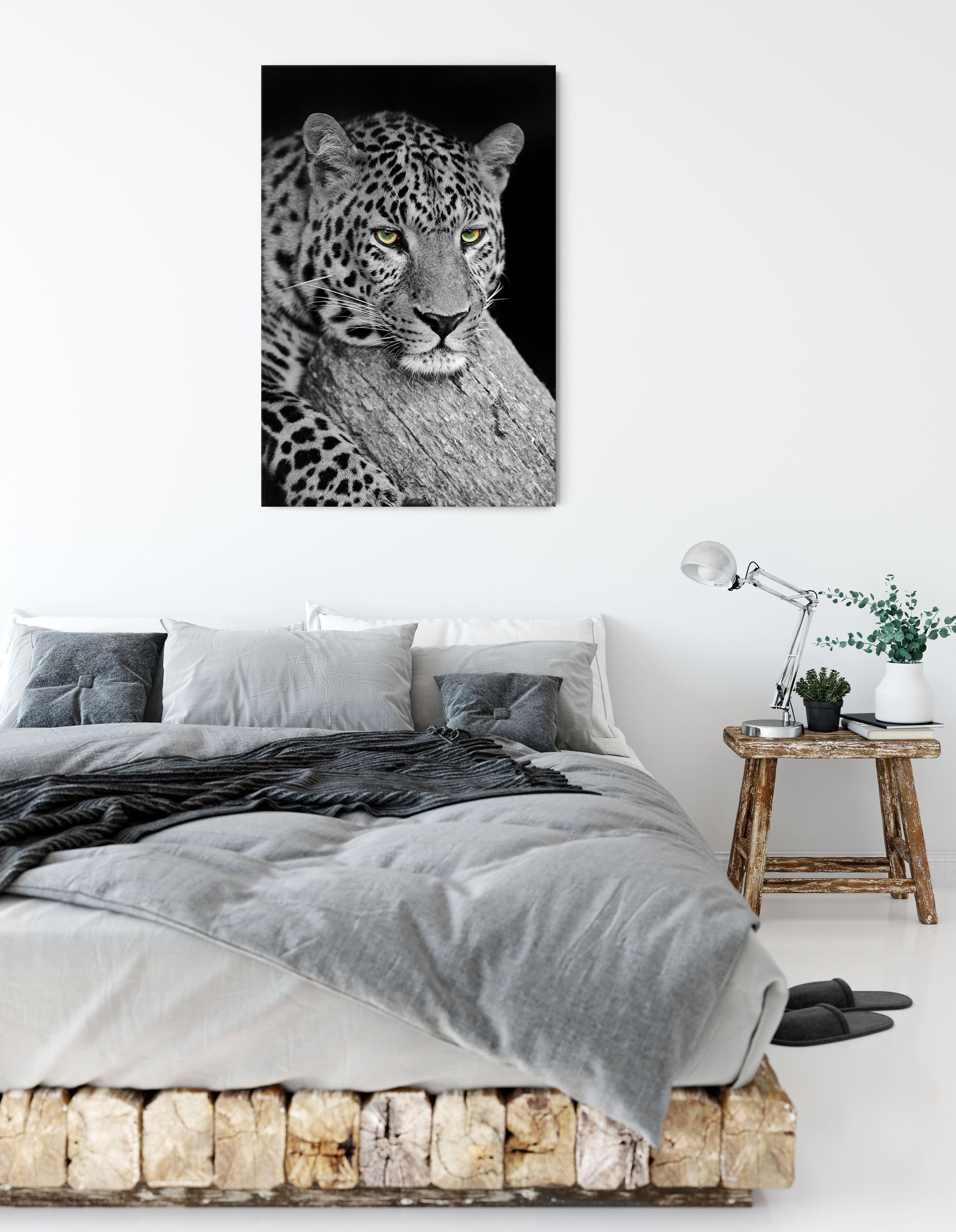 Zackenaufhänger Leinwandbild ruhender Leinwandbild inkl. Pixxprint St), (1 Leopard bespannt, fertig Leopard, ruhender