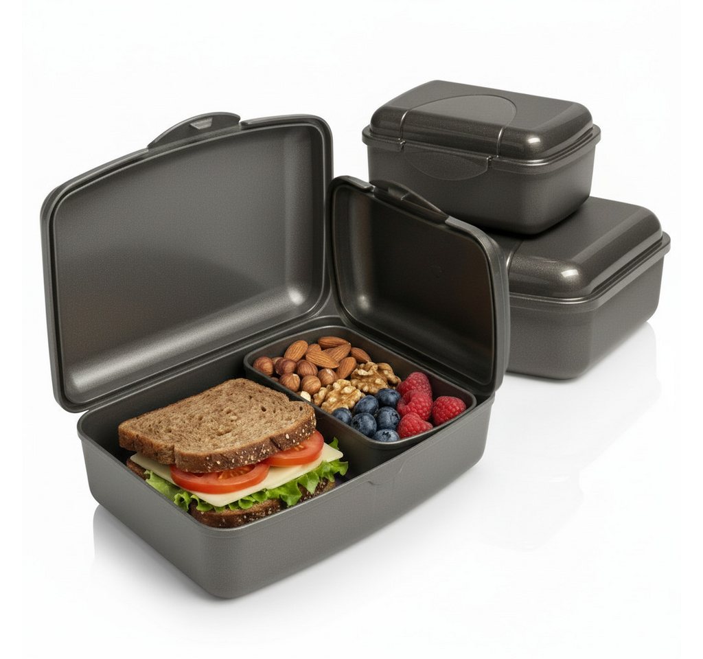 Hausfelder Lunchbox Brotdosen 4er Set hoch anthrazit, Kunststoff, (4er Set, 4-tlg., 2 große Brotdosen und 2 kleine Snackboxen), spülmaschinengeeignet, langlebig, bruchfest, BPA-frei