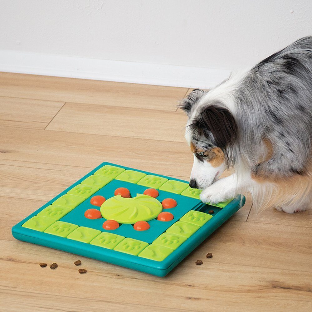 Nina Ottosson Tier-Intelligenzspielzeug MultiPuzzle grün