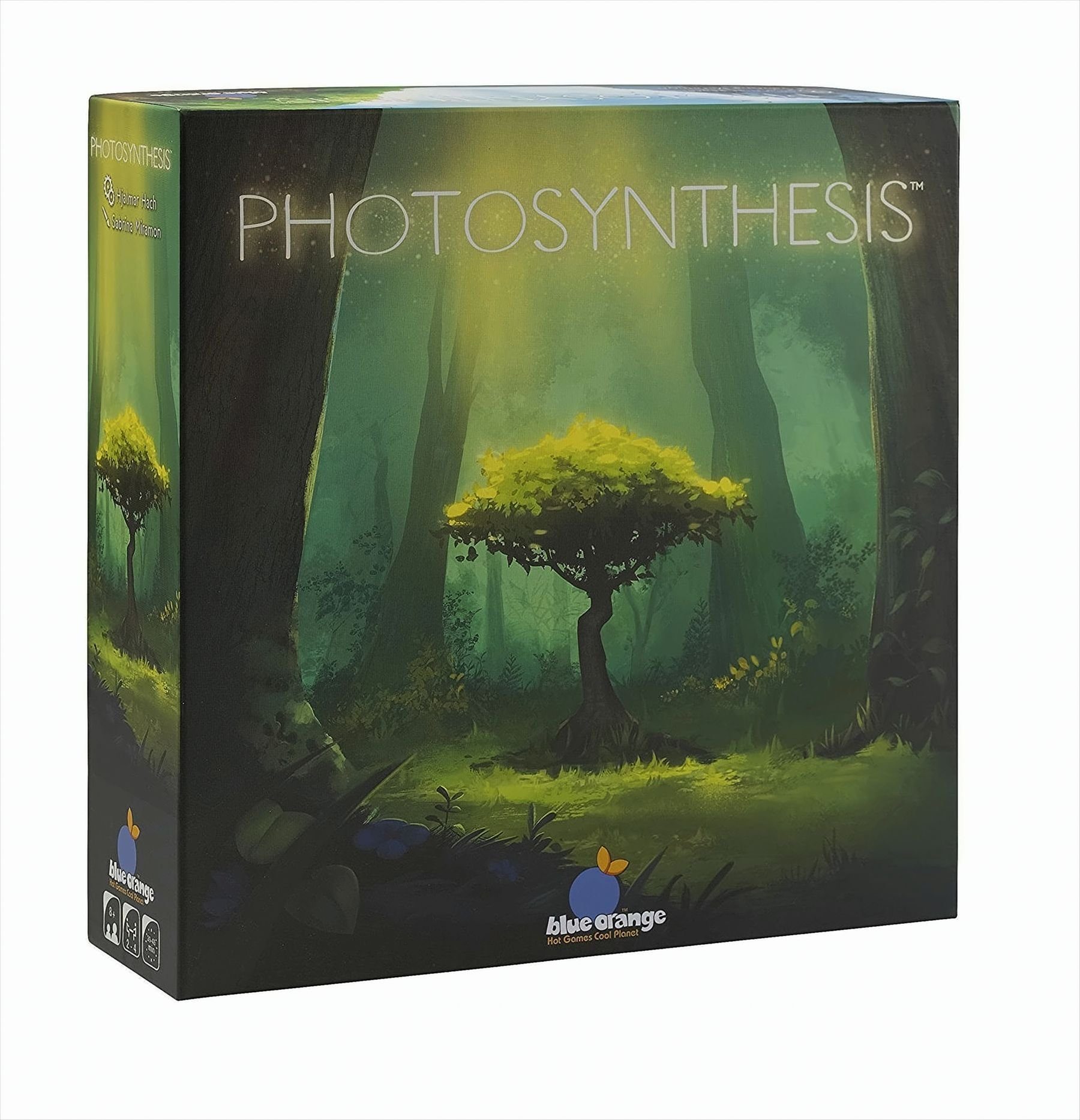Spiel Photosynthese - Das Spiel um Licht und Schatten