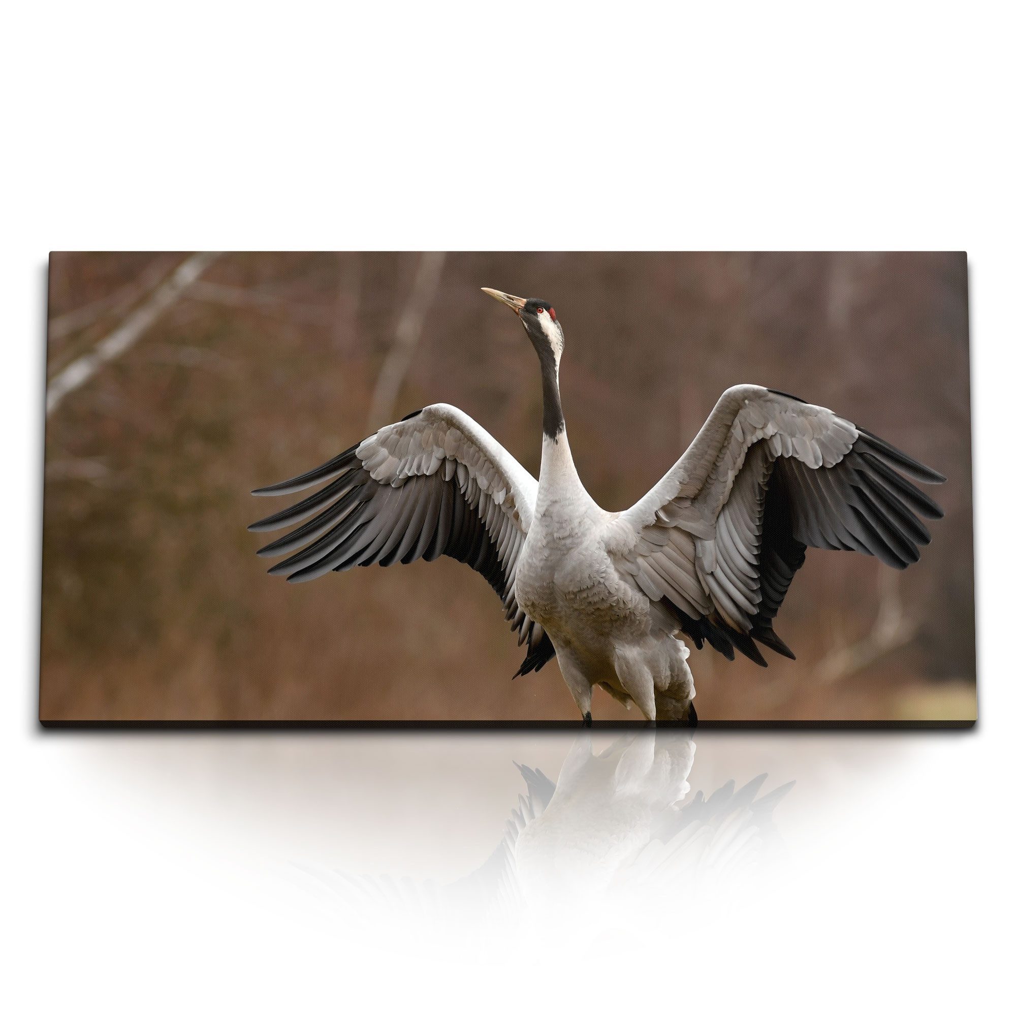 Leinwandbild Kunstdruck Bilder 120x60cm Tierfotografie Kranich Vogel Asien Natur