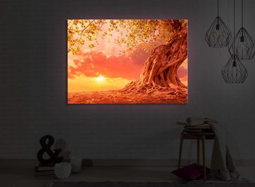 lightbox-multicolor LED-Bild Verwurzelter starker Baum im Sonnenuntergang front lighted / 60x40cm, Leuchtbild mit Fernbedienung