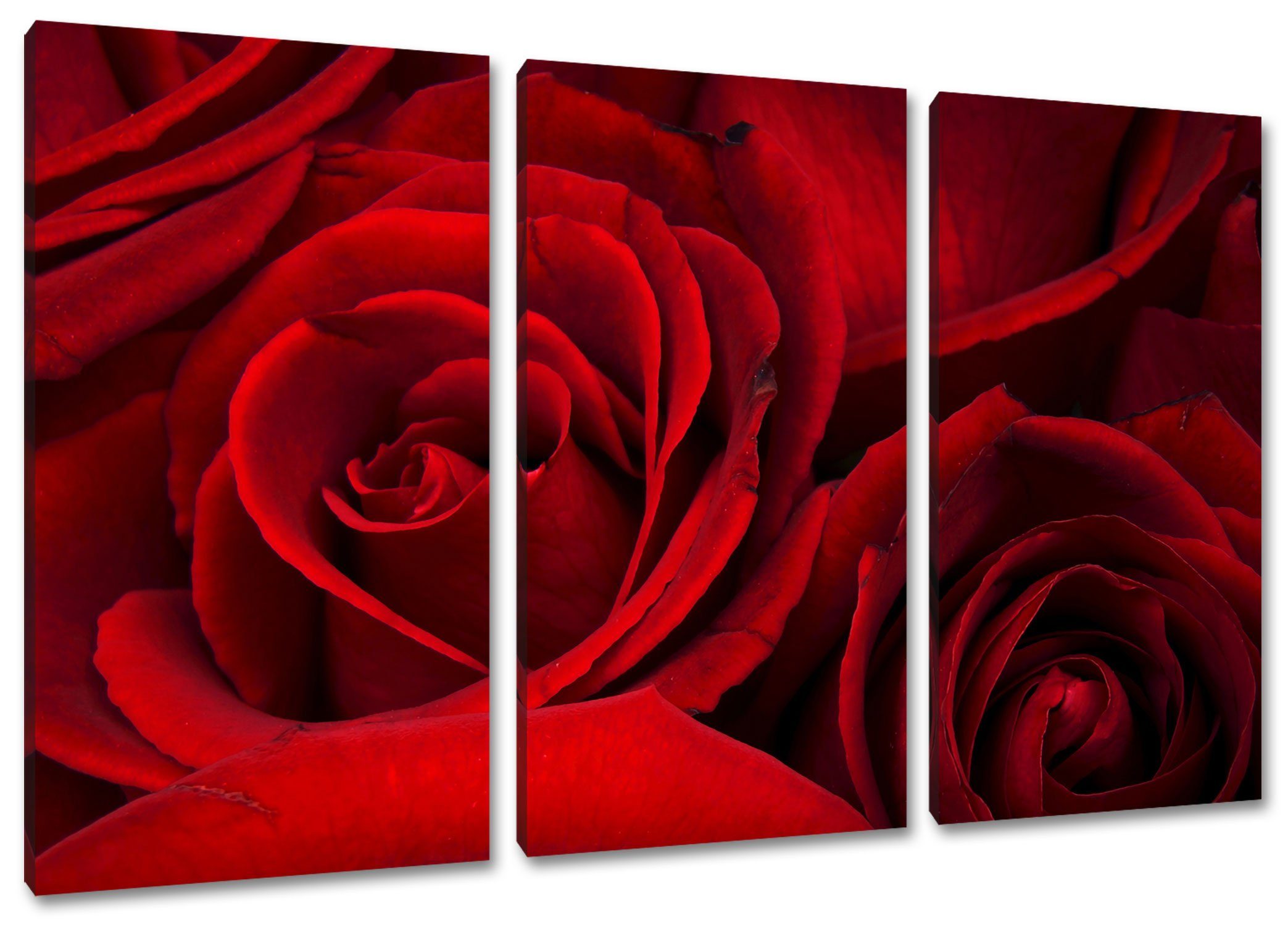 3Teiler Zackenaufhänger fertig Pixxprint Leinwandbild Leinwandbild rote rote (120x80cm) (1 Rosen Rosen, St), inkl. bespannt,