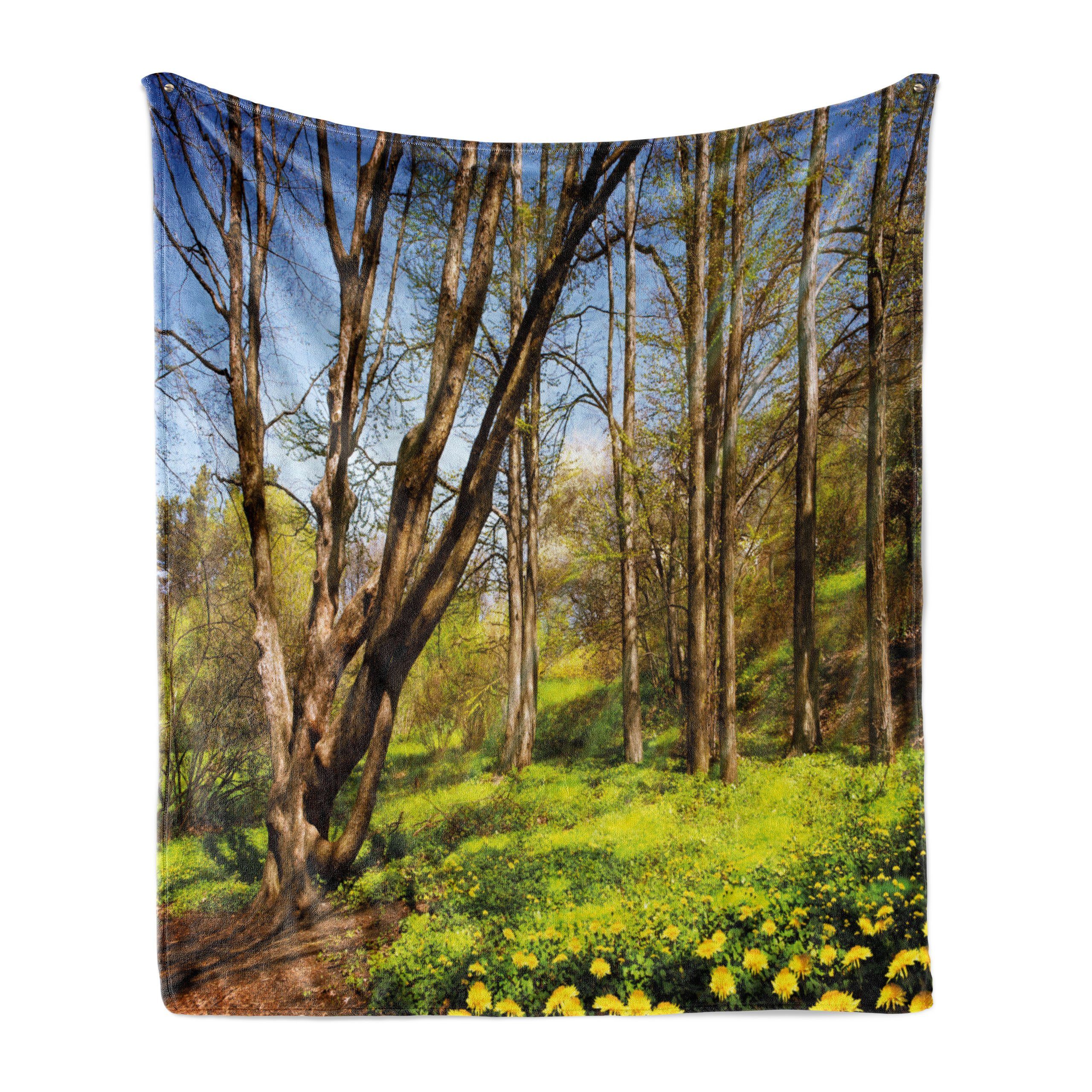 Frühlingswaldblumen Plüsch und Gemütlicher Abakuhaus, für Wohndecke Natur den Außenbereich, Innen-