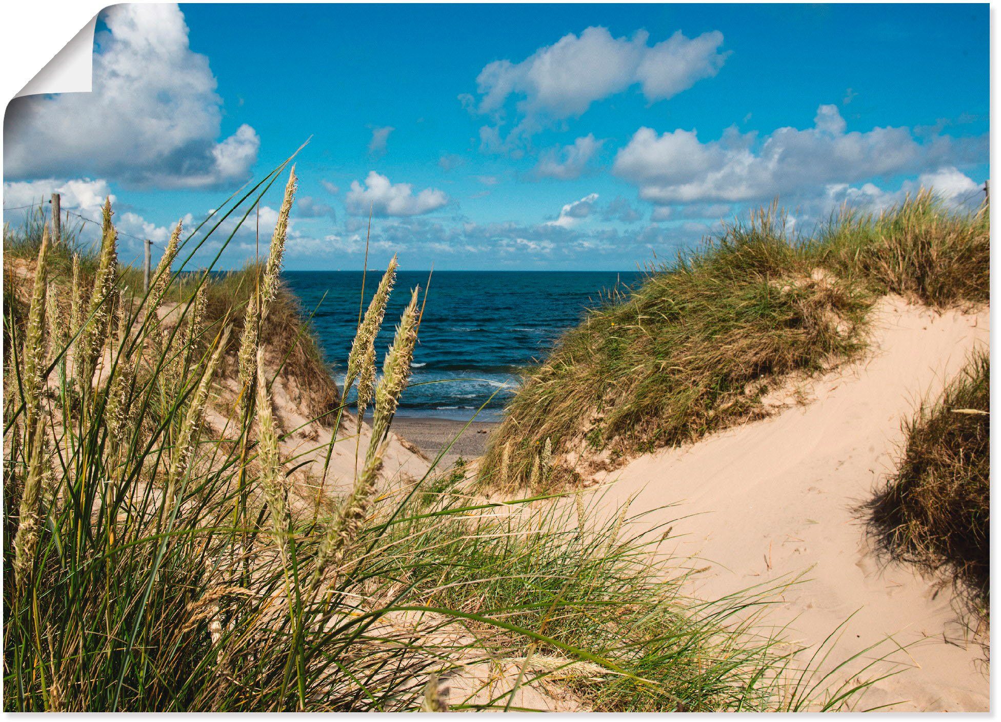 Artland Wandbild Strand bei Vesterhav, Strand (1 St), als Alubild, Leinwandbild, Wandaufkleber oder Poster in versch. Größen