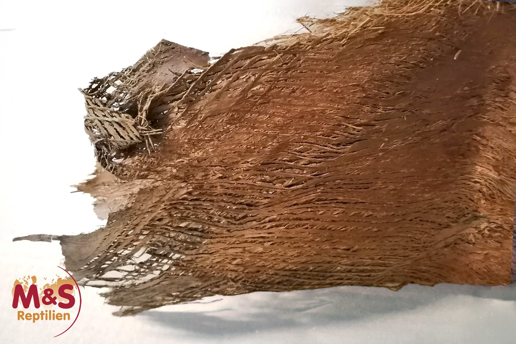 M&S Reptilien Terrariendeko Palmfaser (100 g)