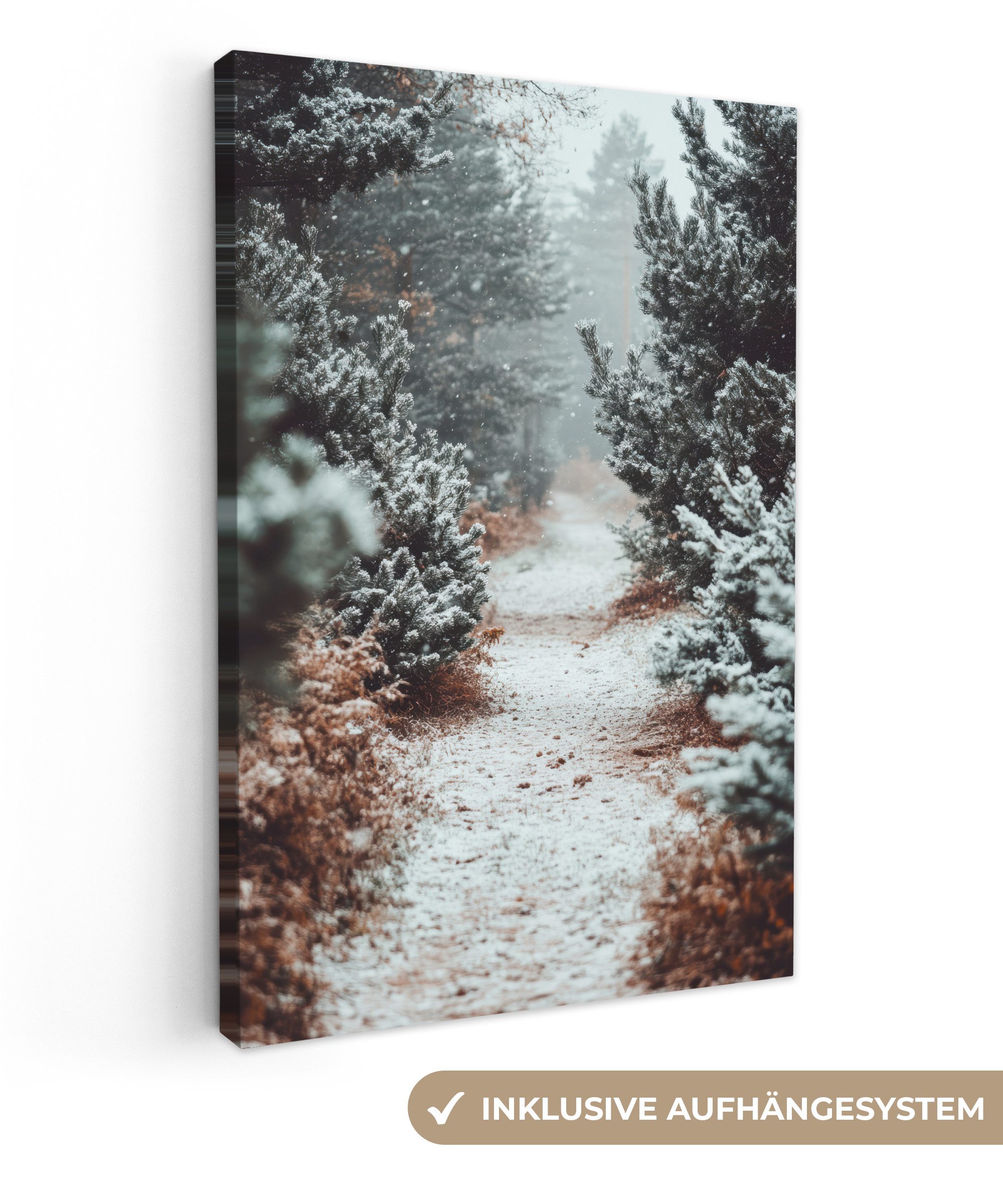 OneMillionCanvasses® Leinwandbild Wald - Winter - Bäume - Natur - Weg - Sch günstig online kaufen