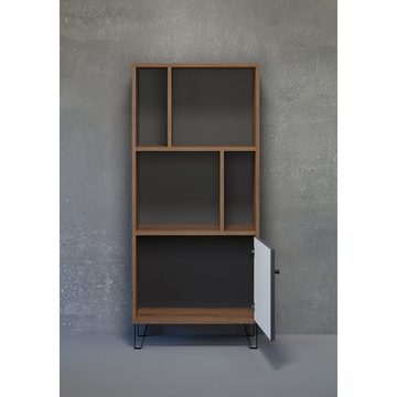 trendteam Standregal, Regal Wandregal Wohnzimmerregal Bücherregal Braun/Grau 63x40cm