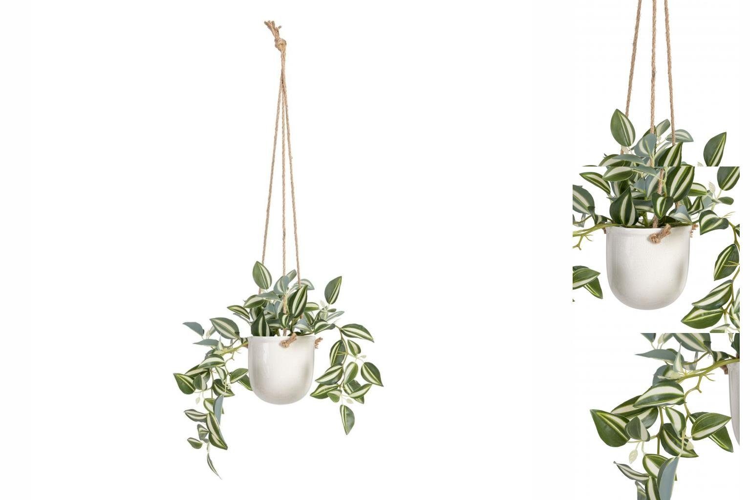 Künstliche Zimmerpflanze Dekorationspflanze 24 x 35 x 25 cm Weiß grün PVC, Bigbuy, Höhe 25 cm