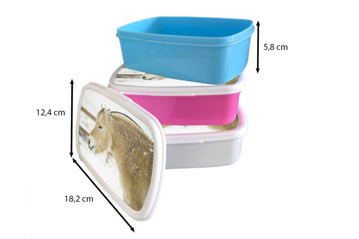 Lunchbox Schnee, weiß Brotbox Nahaufnahme Brotdose, eines im Jungs und (2-tlg), MuchoWow Erwachsene, und für Kinder Kunststoff, Fjordpferdes für Mädchen