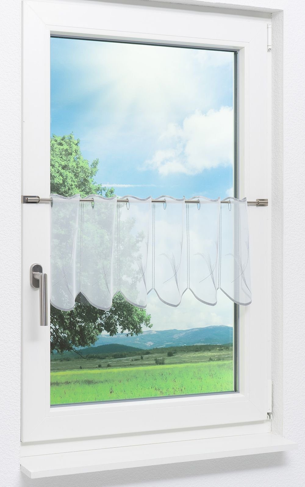 silbergrau Scheibengardine St), HxB transparent, Federn, (1 Spitze®, Plauener 32x48.6cm