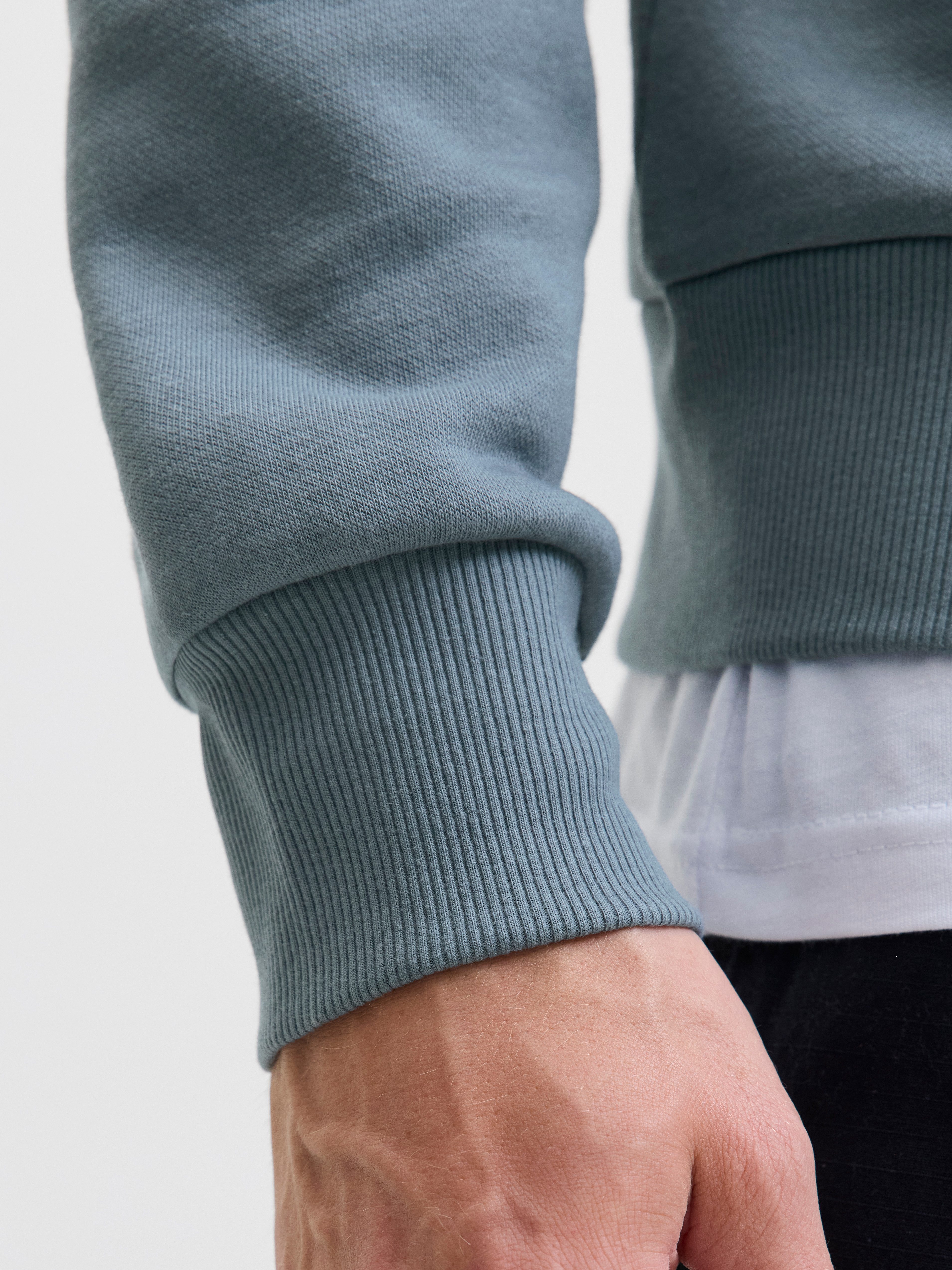 Jack & Jones PlusSize Kapuzensweatshirt JJPAN SWEAT HOOD PLS günstig online kaufen