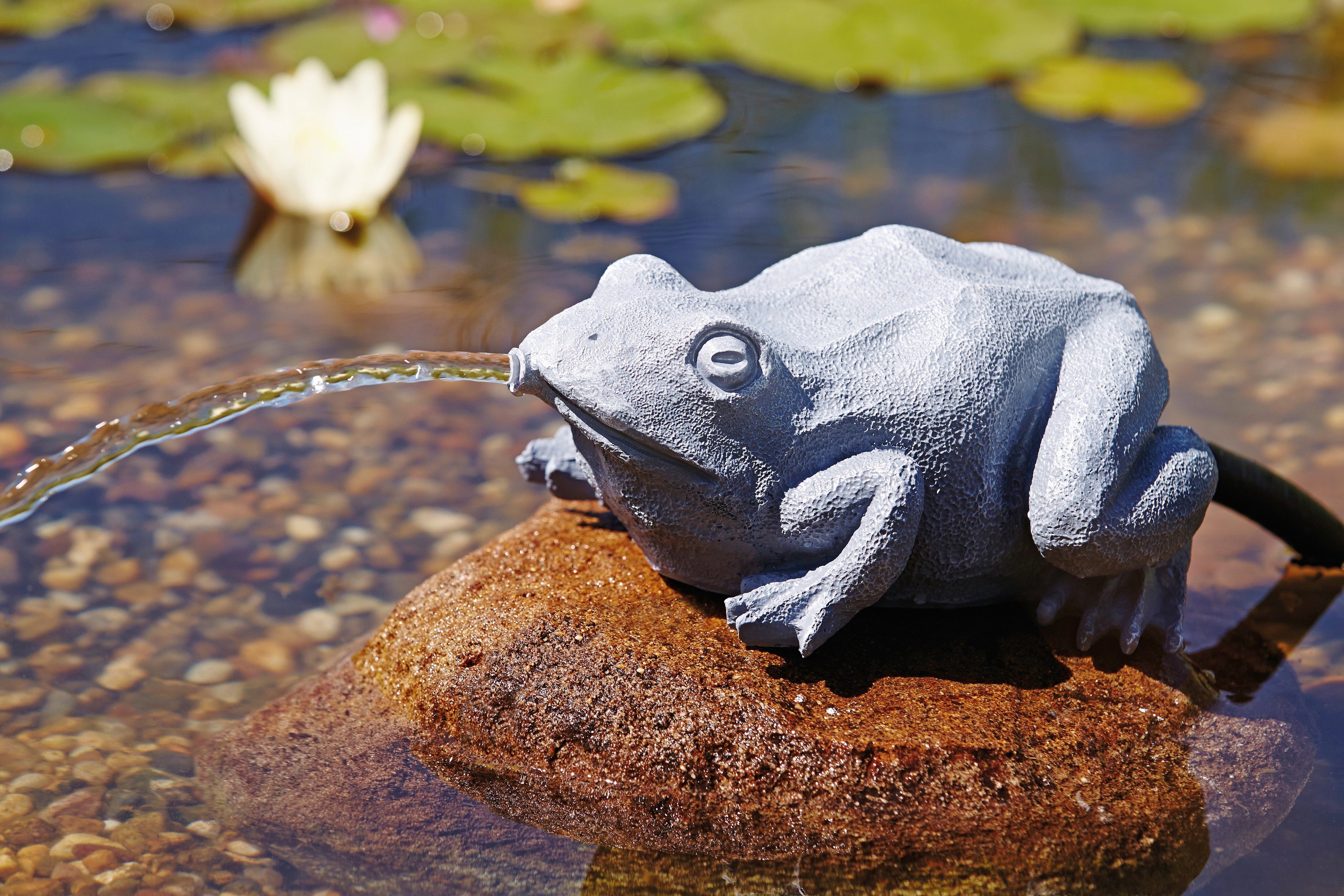 Frosch OASE Wasserspeier