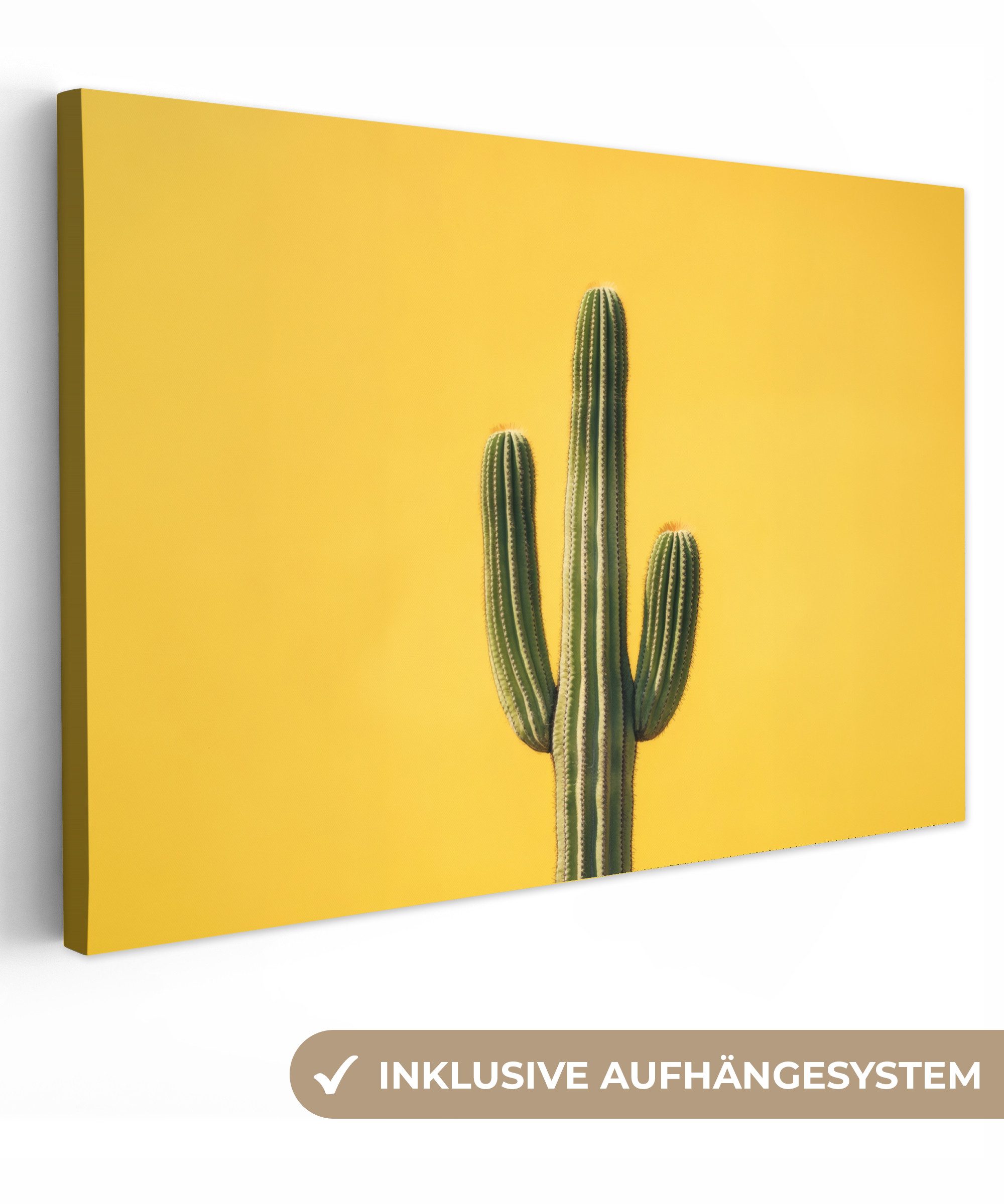 OneMillionCanvasses® Leinwandbild Kaktus - Grün - günstig online kaufen