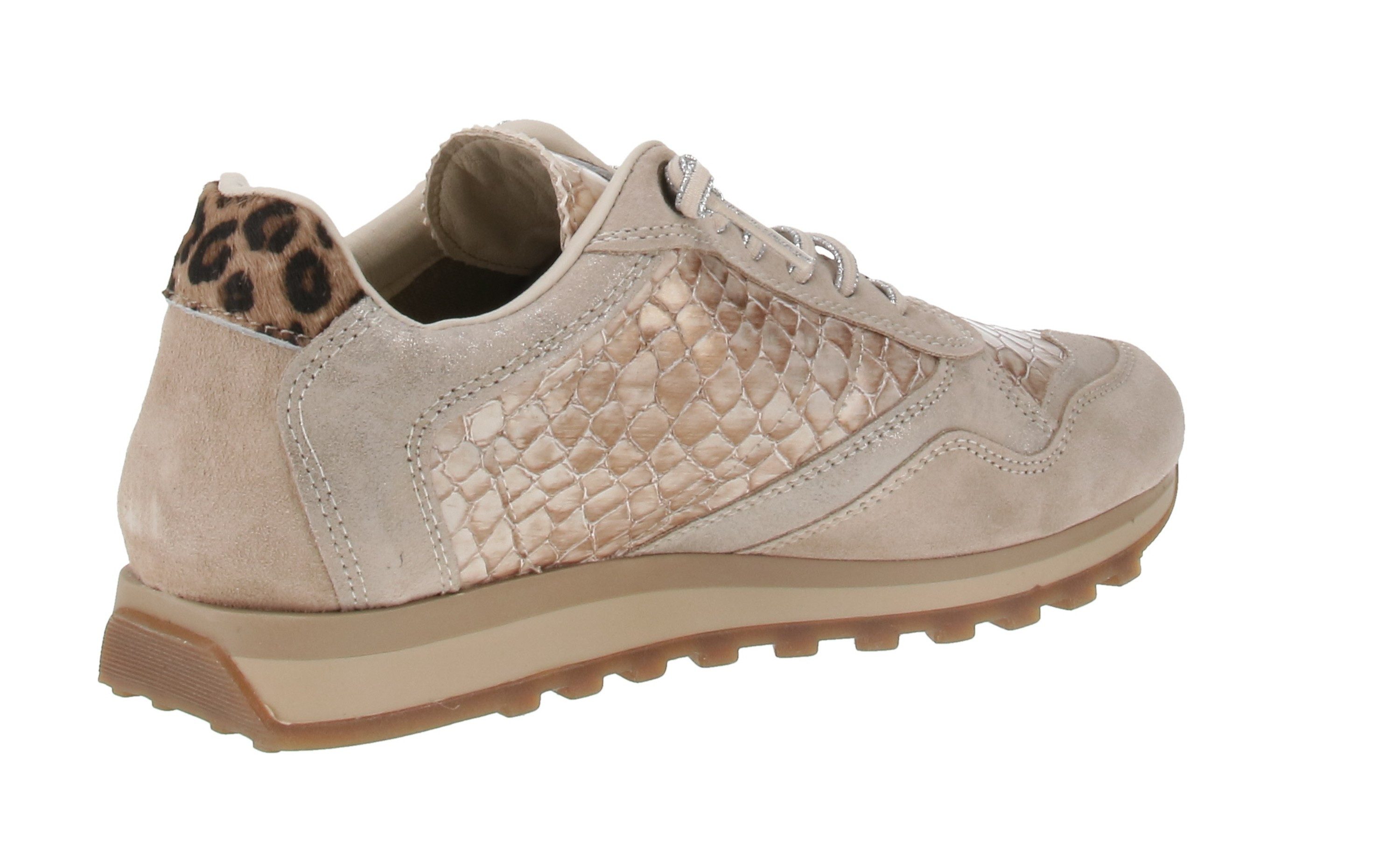 Cetti Cetti C-848 SRA INV26 - Damen Sneaker - Ante-Elba-Hummus Sneaker