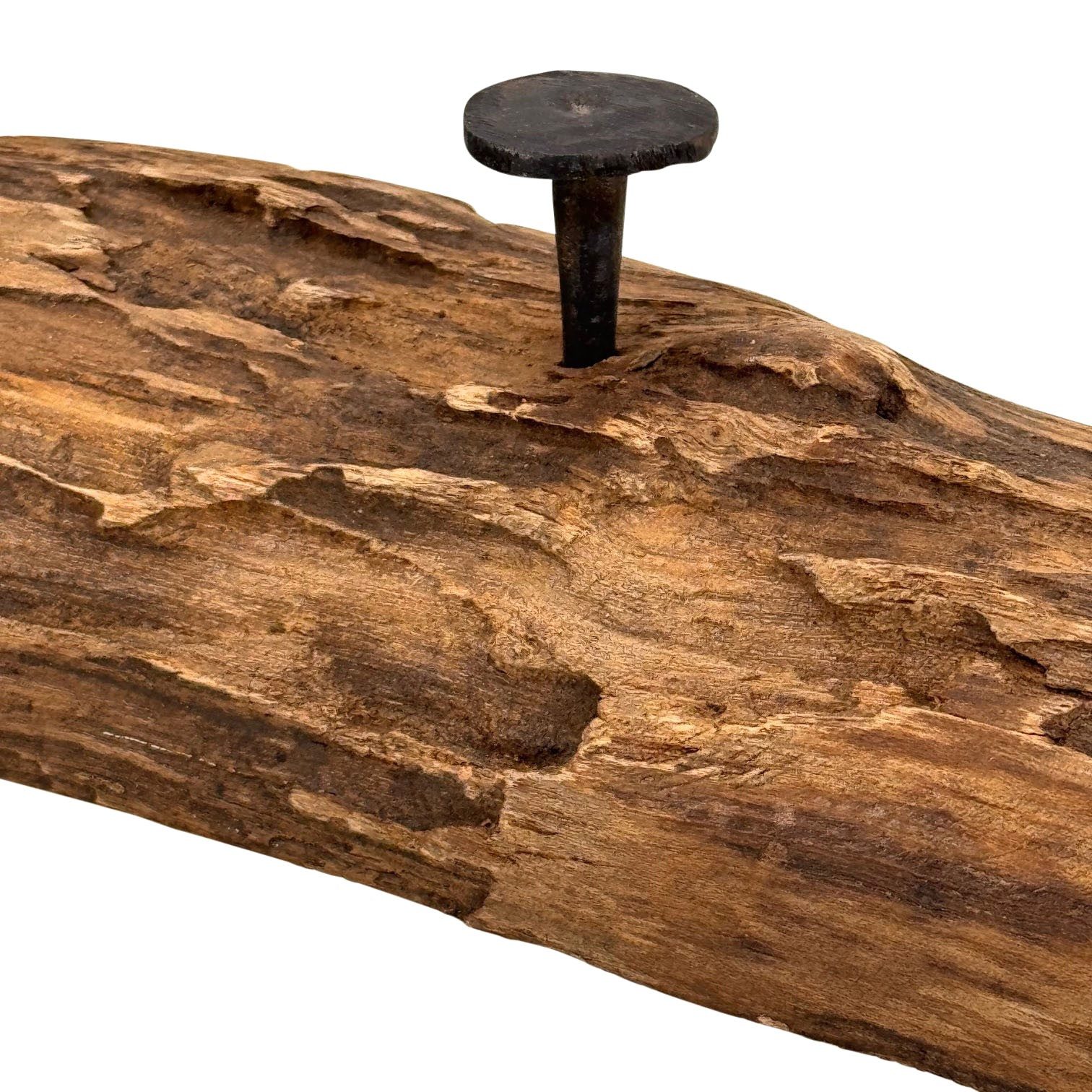 Online-Fuchs Garderobenleiste aus Holz, Wandgarderobe mit 5 Haken aus Metall - 57 bis 59 cm lang (natürliche Optik, rustikales Design), Unikat mit natürlicher Maserung und Astlöchern