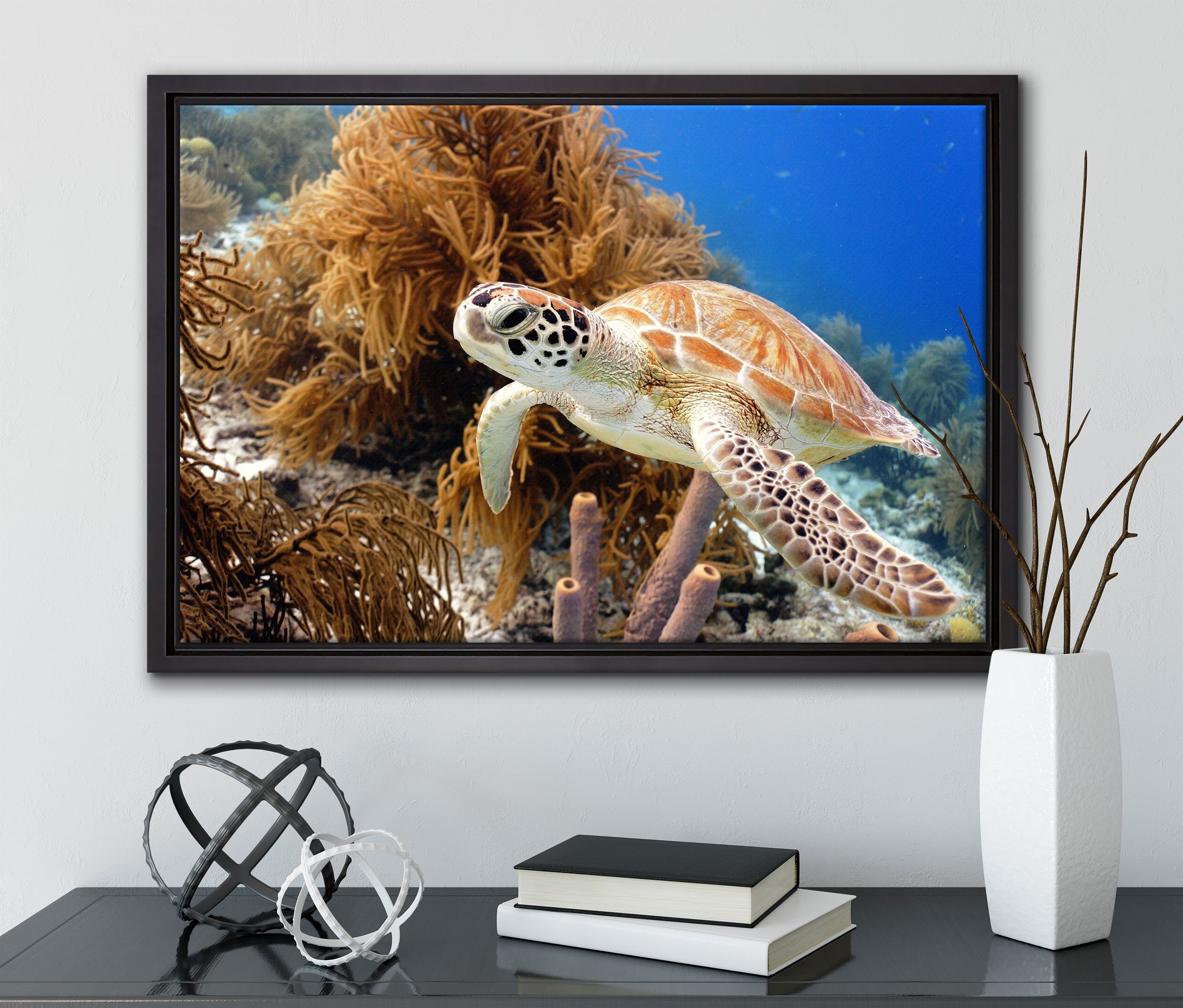 Pixxprint Leinwandbild in Meeresschildkröte, (1 Leinwandbild inkl. St), bespannt, Wanddekoration Schattenfugen-Bilderrahmen einem Zackenaufhänger fertig gefasst