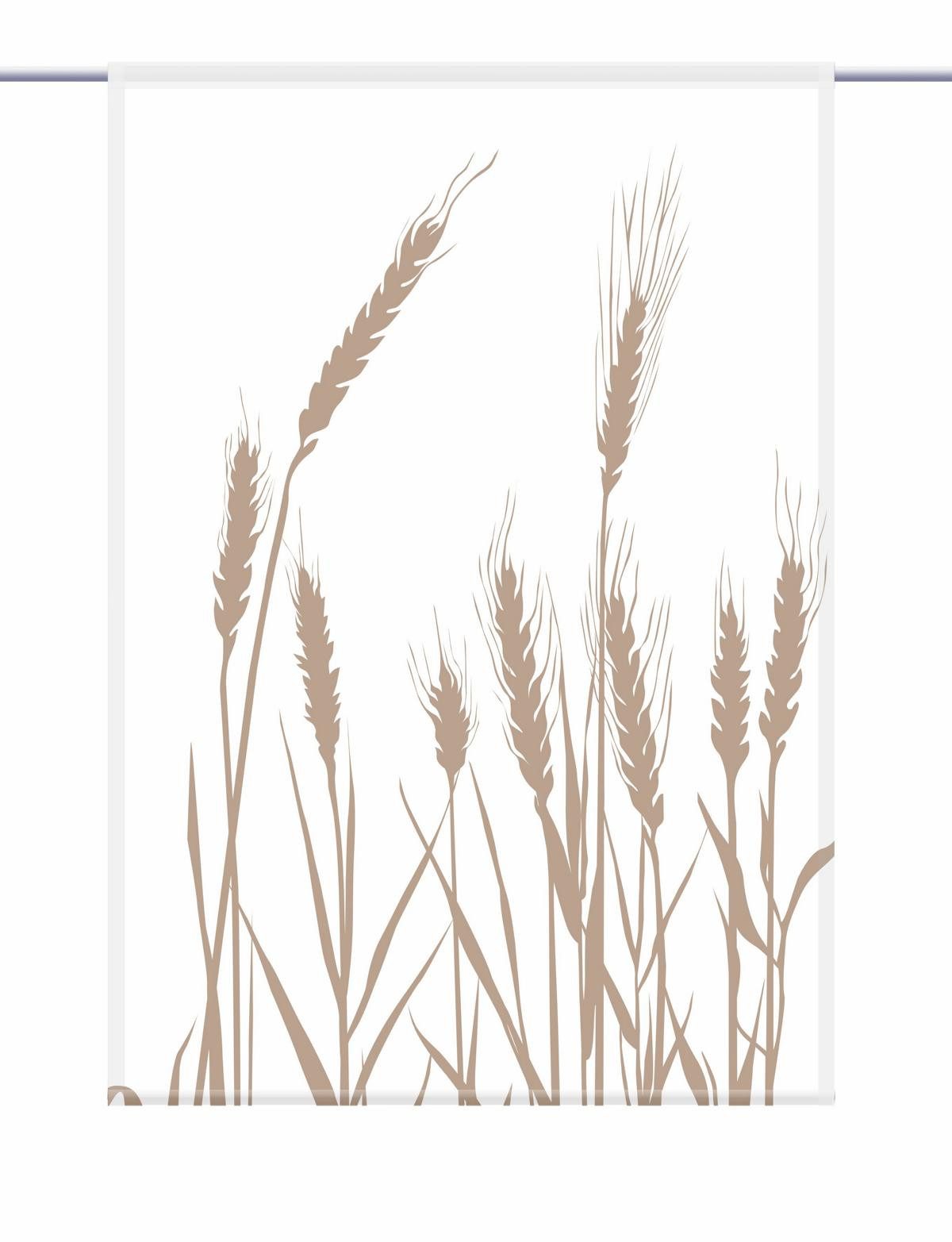 gardinen-for-life Scheibengardine Cereal 24 - blanco cappuccino - eckiger Scheibenhänger - B-line