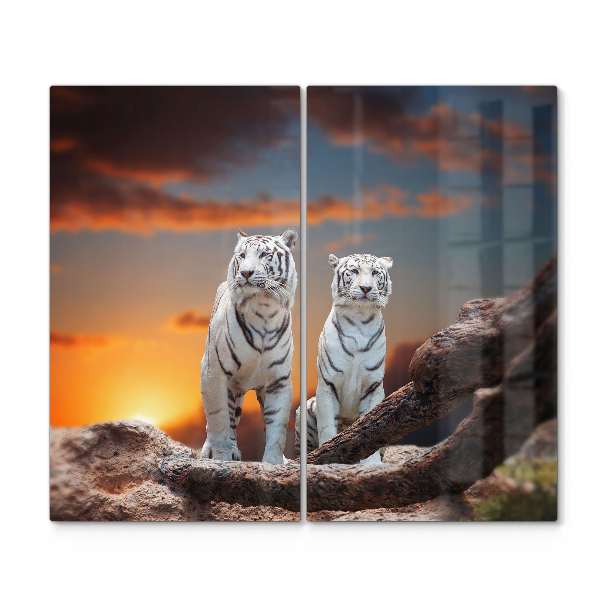 DEQORI Herdblende-/Abdeckplatte 'Weiße Tiger im Abendlicht', Glas, (2 tlg),  Glas Herdabdeckplatte Ceranfeld Herd