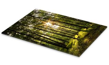 Posterlounge Acrylglasbild Renate Knapp, Wald im Sonnenuntergang, Fotografie