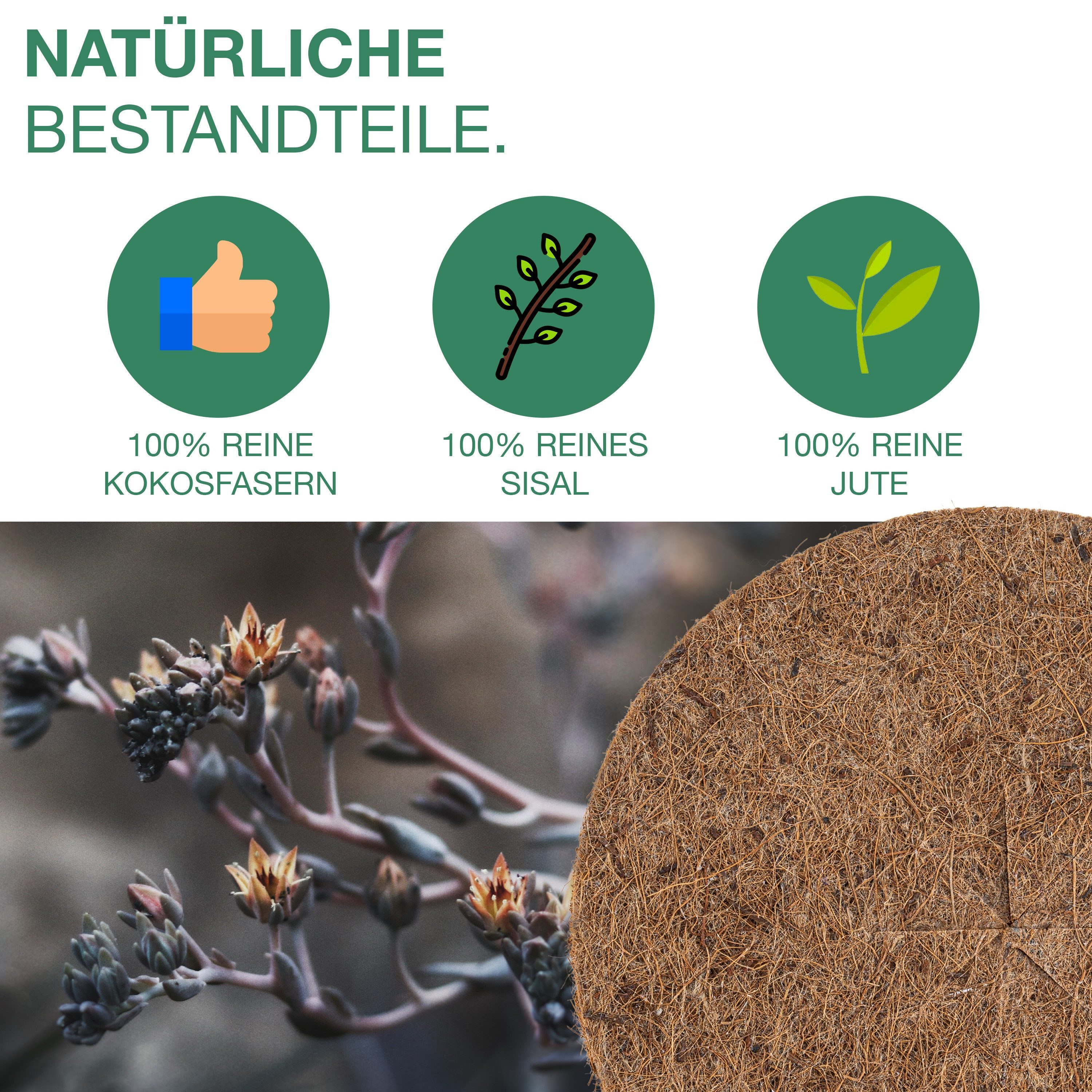Nugati Kokosscheibe NUGATI Kokos-Mulchscheibe Kübelabdeckung Winterschutz Kokosdisk, (5-St) – Bild 5 von 5