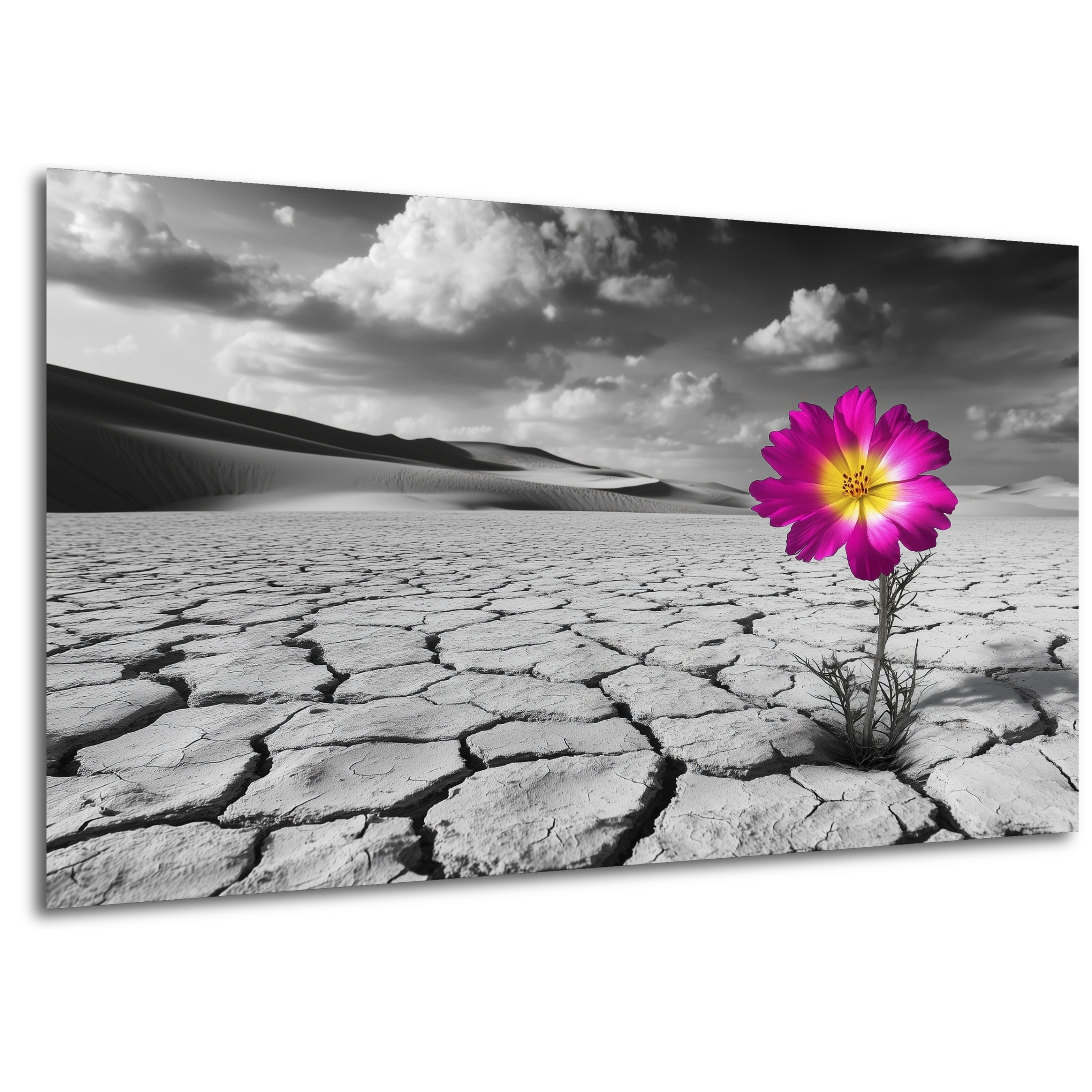 DARO Design Leinwandbild Modern Abstrakt Wandbilder günstig online kaufen