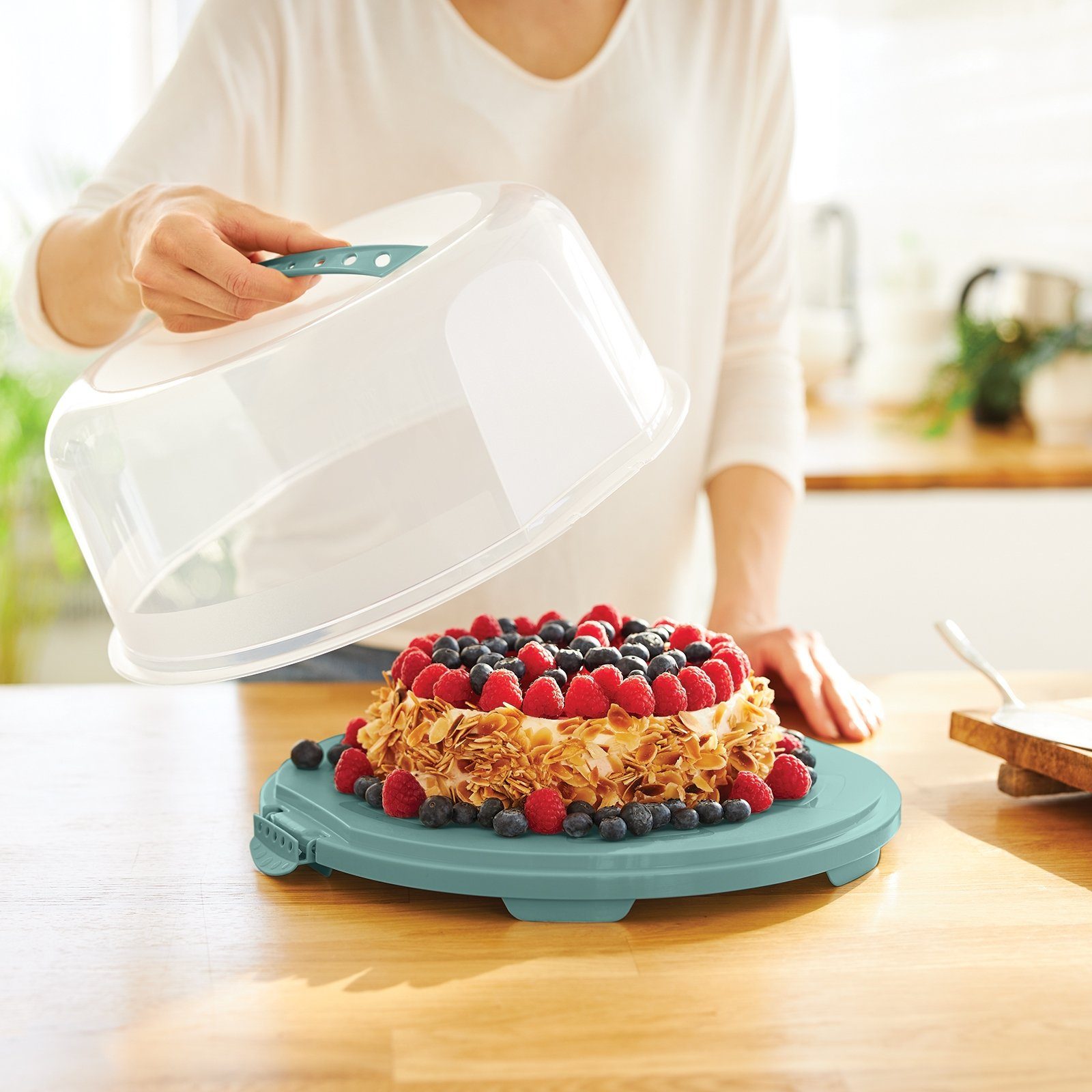 ROTHO Aufbewahrungssystem FRESH hoch Kuchentransportbox mit Haube und Griff