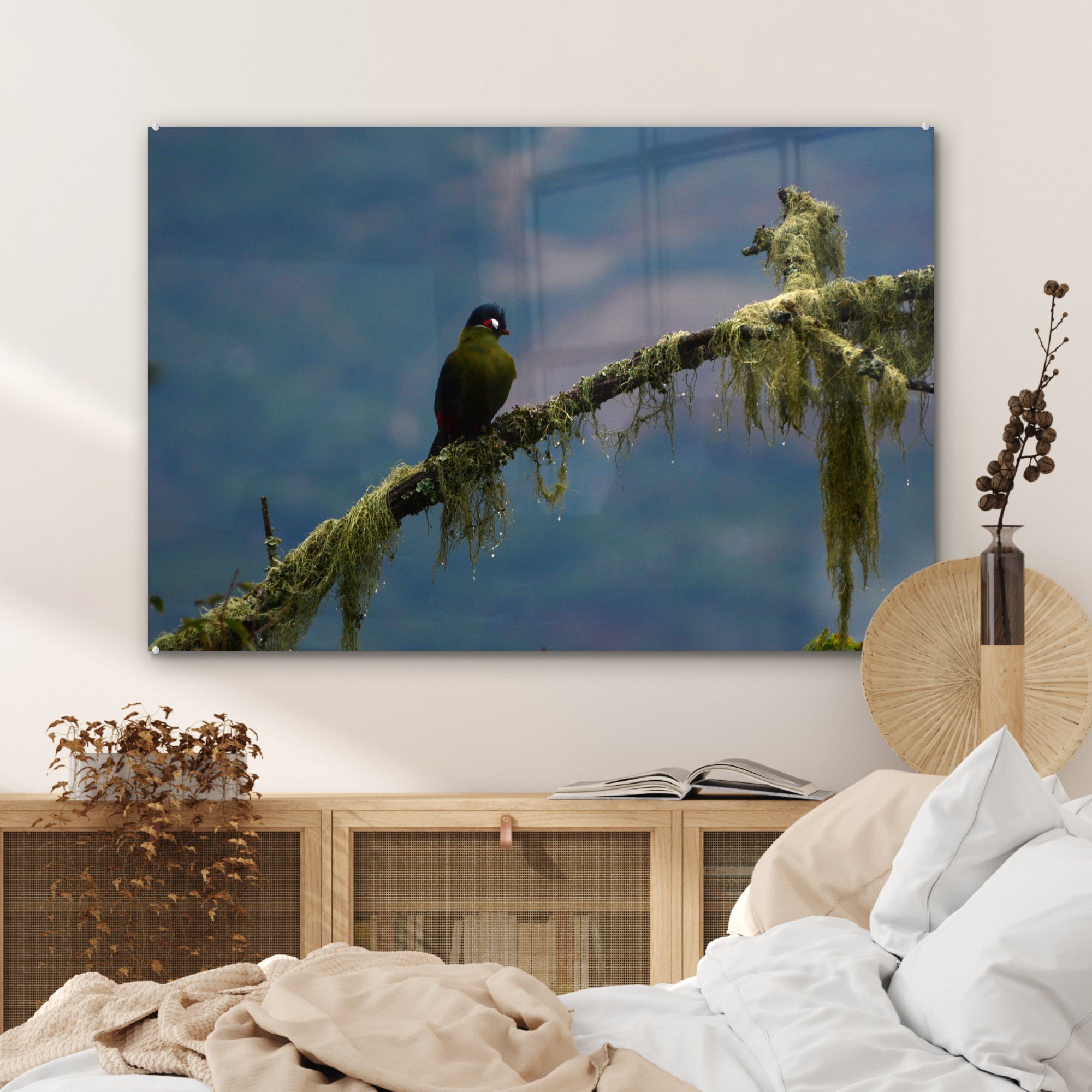 MuchoWow Acrylglasbild Hartlaubs turaco & St), Wohnzimmer (1 Schlafzimmer Acrylglasbilder Zweig, auf