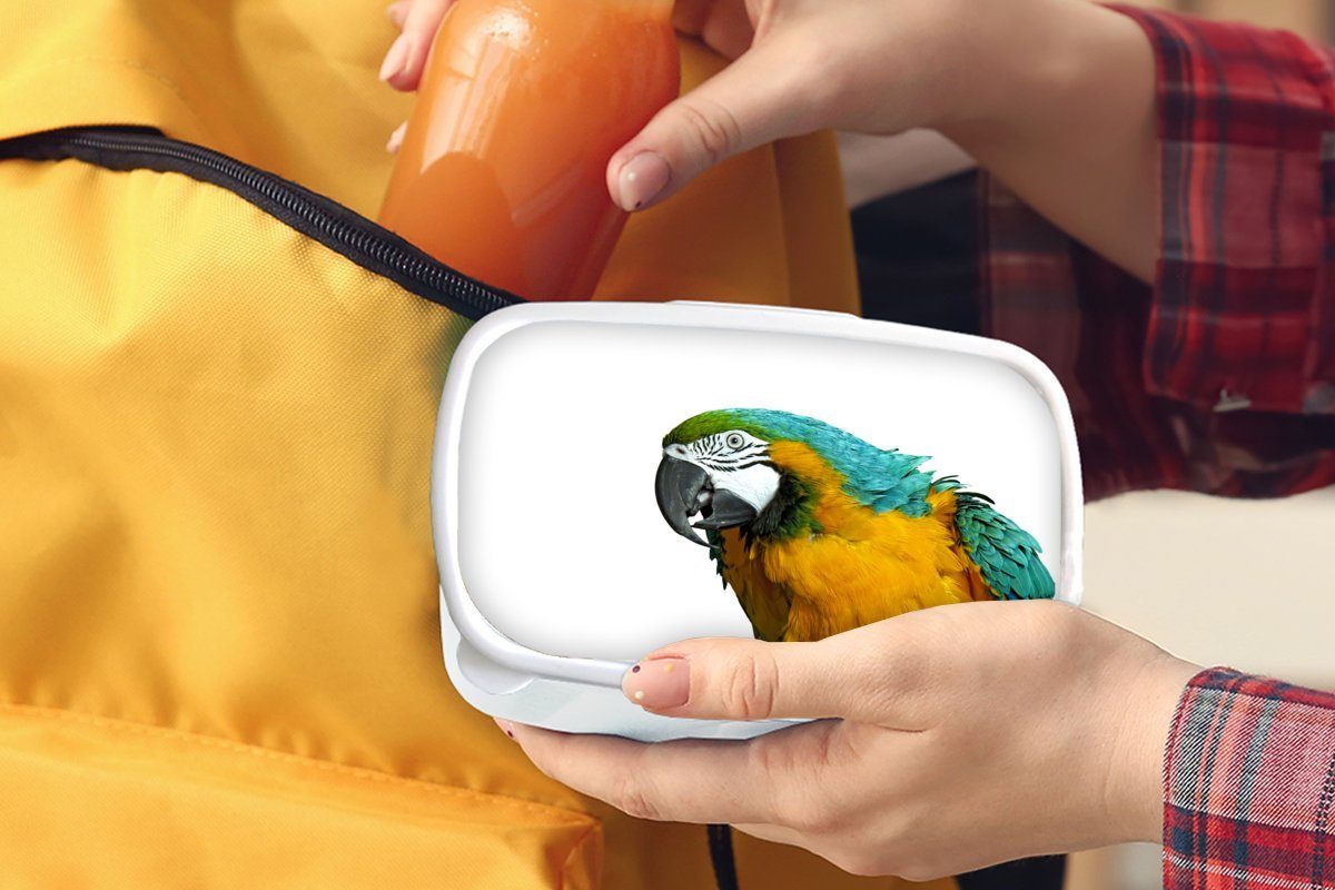 und Federn für MuchoWow - Erwachsene, Brotbox Vogel Papagei Jungs Kunststoff, Porträt, (2-tlg), - Brotdose, Lunchbox - weiß für und Kinder Mädchen