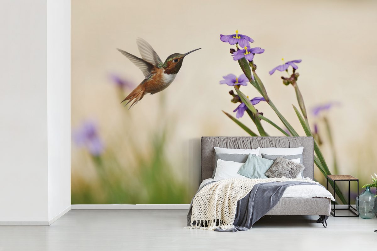 Kolibri Lila, Wohnzimmer, Matt, bedruckt, Fototapete St), Blumen - - Schlafzimmer, Vogel MuchoWow Vinyl (6 Kinderzimmer, Tapete für - Wallpaper