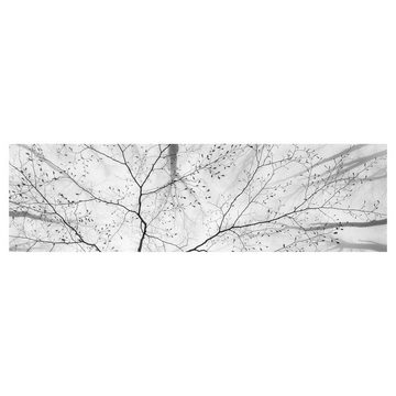 Bilderdepot24 Küchenrückwand schwarz-weiß dekor Bäume Wald Natur Baumkronen im Himmel, (1-tlg., Nischenrückwand - für Fliesenspiegel ohne Bohren - matt), Spritzschutz Rückwand Küche Herd - Folie selbstklebend versch. Größen