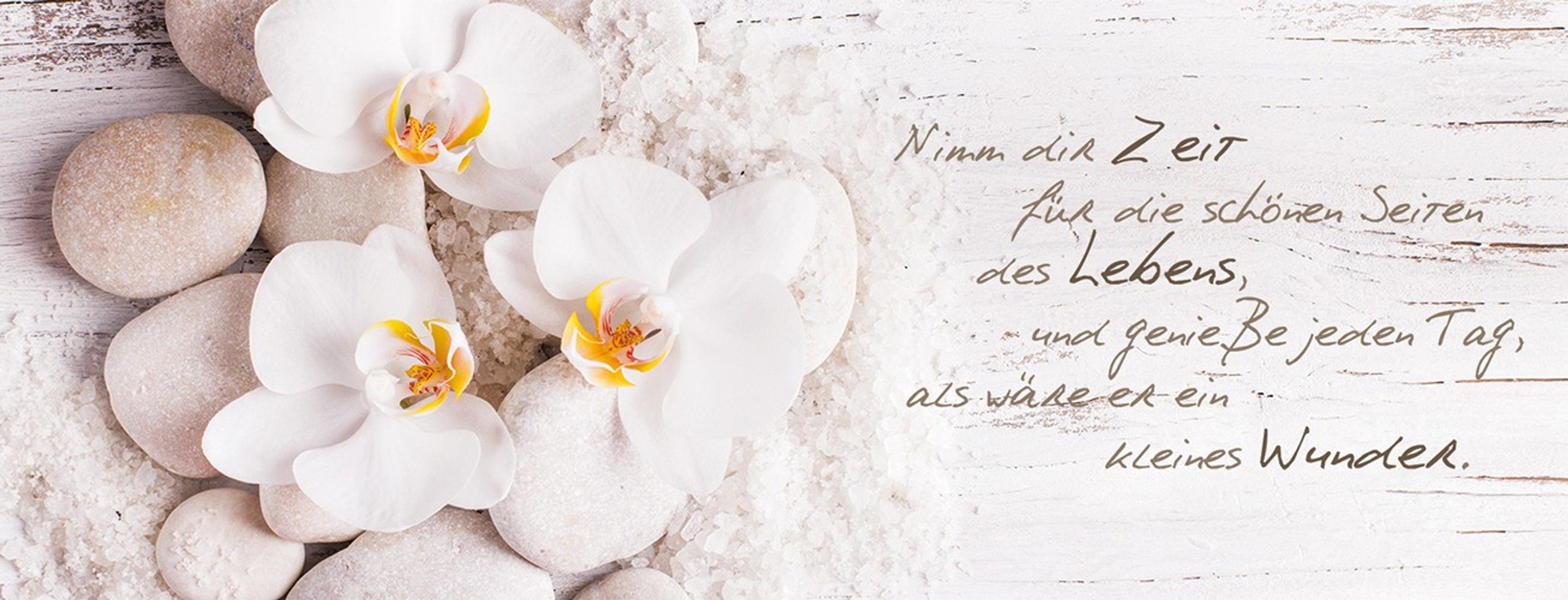 artissimo Glasbild Glasbild 80x30cm Deko: Spruch Orchidee, Zeit Weiße Sprüche aus Glas Bild Blume Zeit