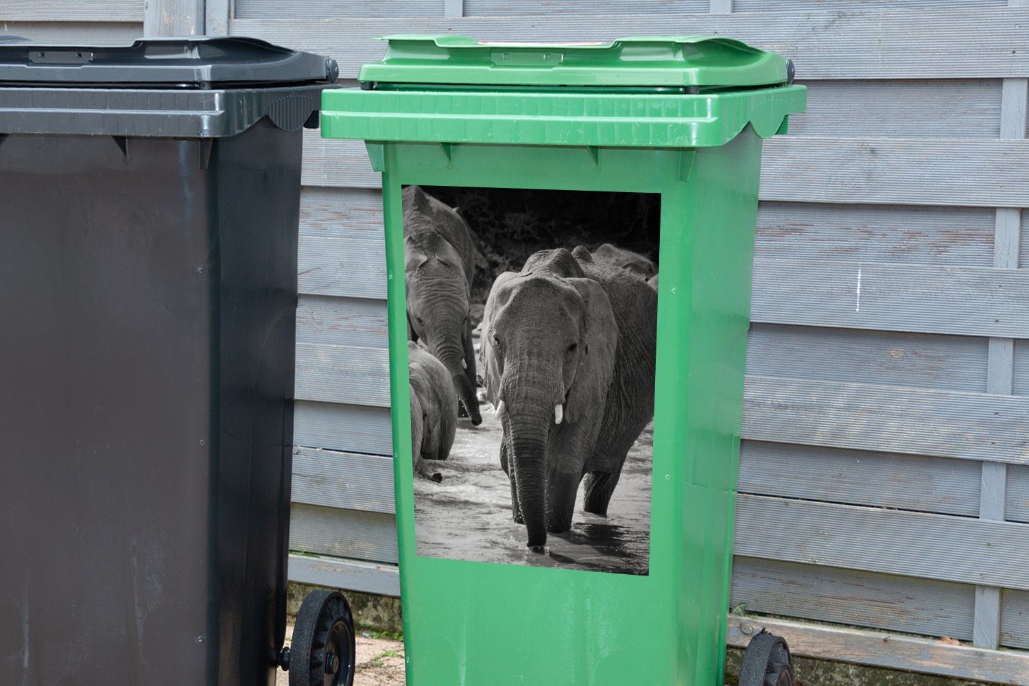 (1 - Wandsticker weiß Mülleimer-aufkleber, Container, und MuchoWow Sticker, Elefant - Mülltonne, Schwarz Wasser St), Abfalbehälter Tiere -