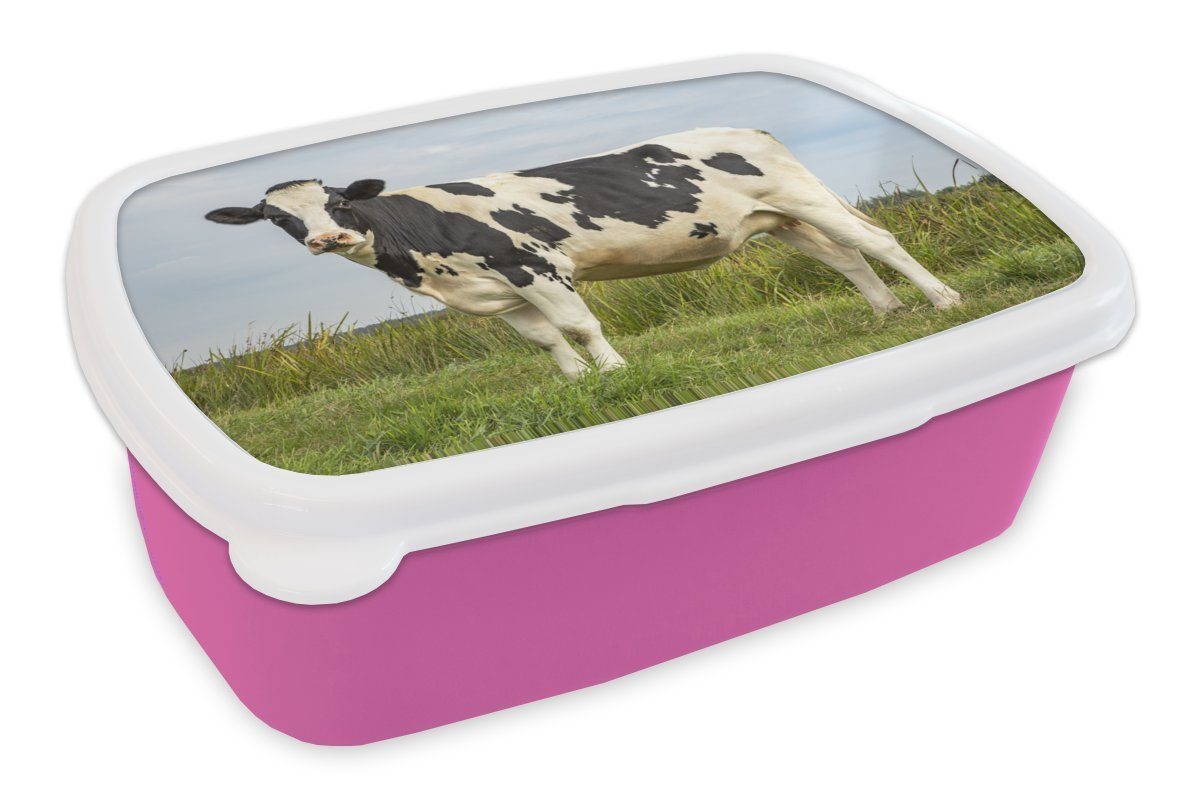 Lunchbox (2-tlg), Mädchen, Brotdose für Kunststoff Niederlande, Brotbox Friesland Erwachsene, Snackbox, Kinder, rosa Kunststoff, Kuh MuchoWow - -