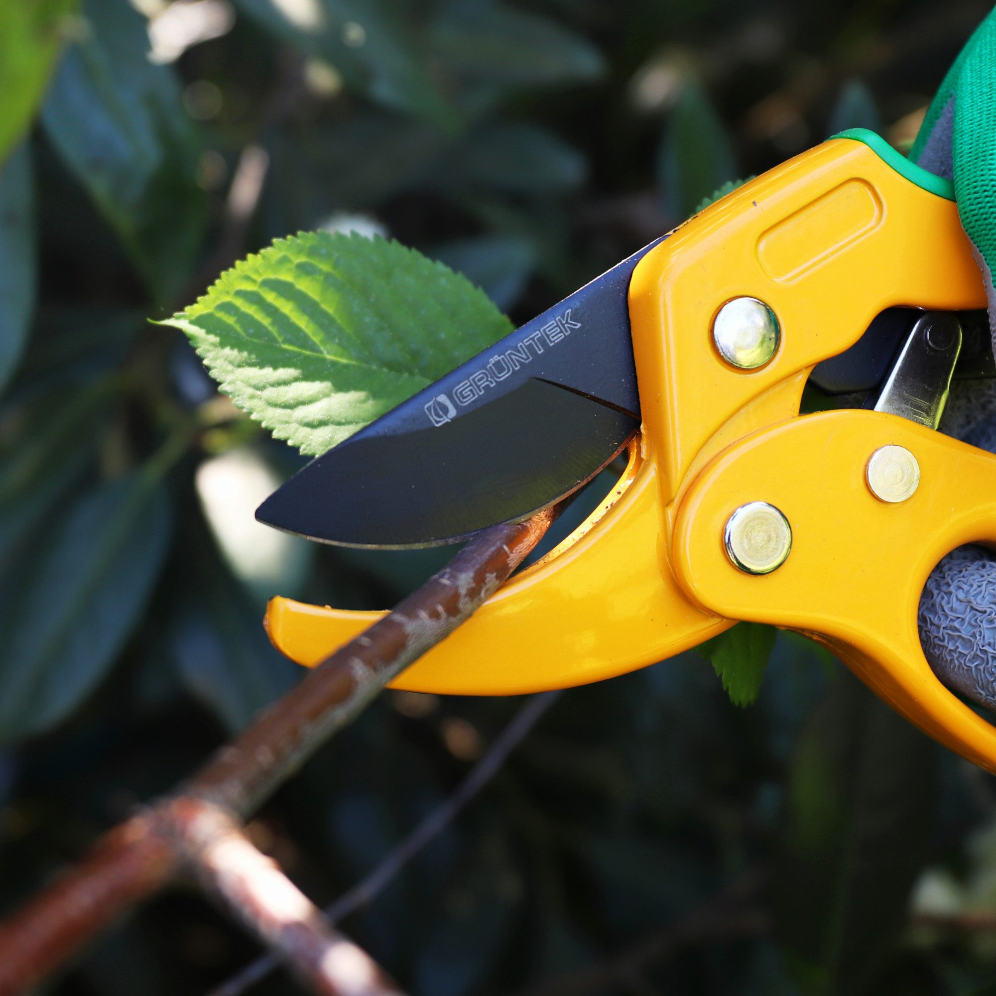 GRÜNTEK Gartenschere Amboss Ratschen Strauchschere UHU 205 mm, bequem praktische Baumschere, (für trockenes, festeres Holz bis 24 mm Durchmesser), mit automatischer Ratschenfunktion, ergonomische Form, Klinge 50 mm