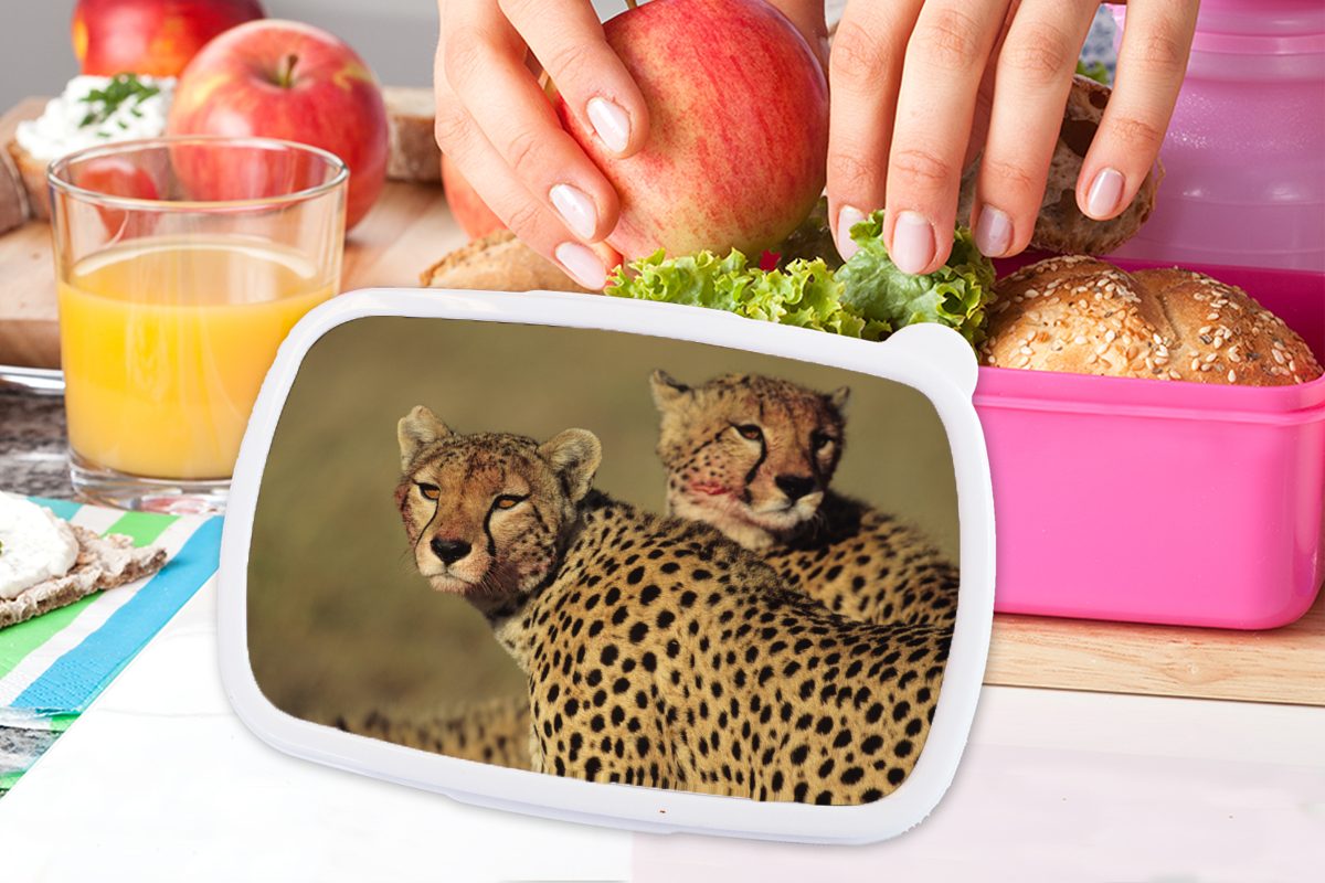 MuchoWow Lunchbox Zwei Geparden Brotdose der Erwachsene, rosa Snackbox, (2-tlg), für Kinder, Savanne, Mädchen, Brotbox Kunststoff Kunststoff, in