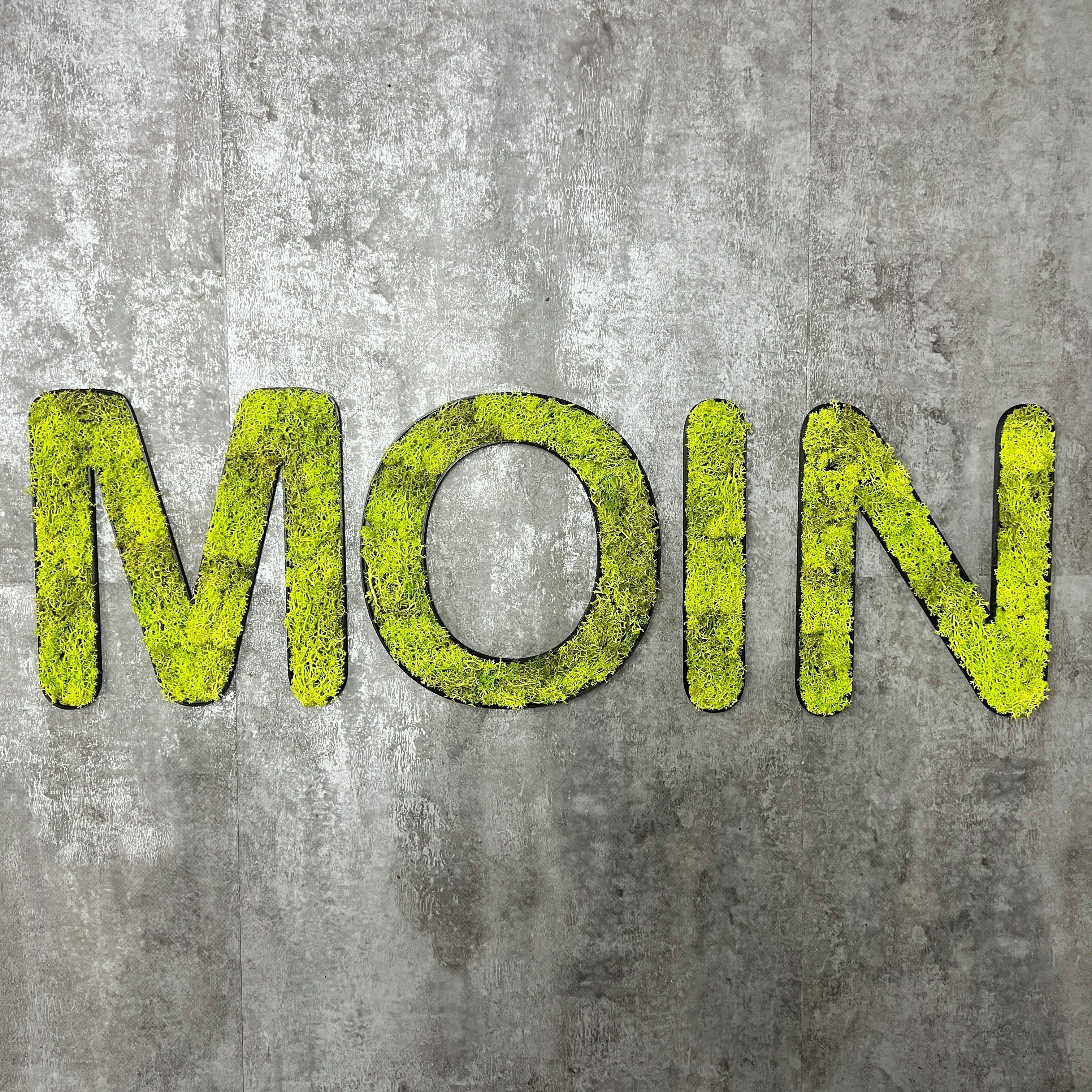dixtime Wanddekoobjekt Islandmoos – Set MOIN, Immergrün das ganze Jahr - 0% Pflege! springgrün