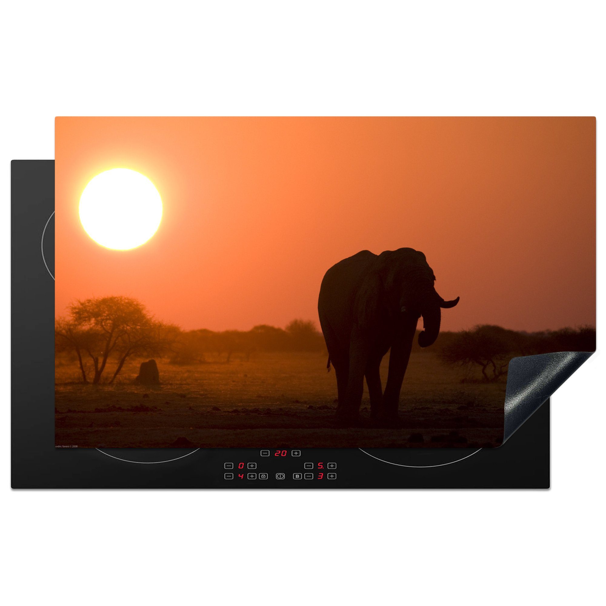 im küche Sonnenuntergang Herdblende-/Abdeckplatte (1 MuchoWow Vinyl, Nxai Arbeitsplatte bei cm, Elefant Pan 83x51 Ceranfeldabdeckung, für National Park, tlg),