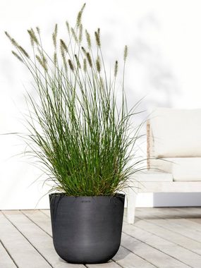 ECOPOTS Blumentopf Oslo 35 + Wassersystem Dunkelgrau, für innen und außen: frostsicher, bruchsicher und lichtbeständig