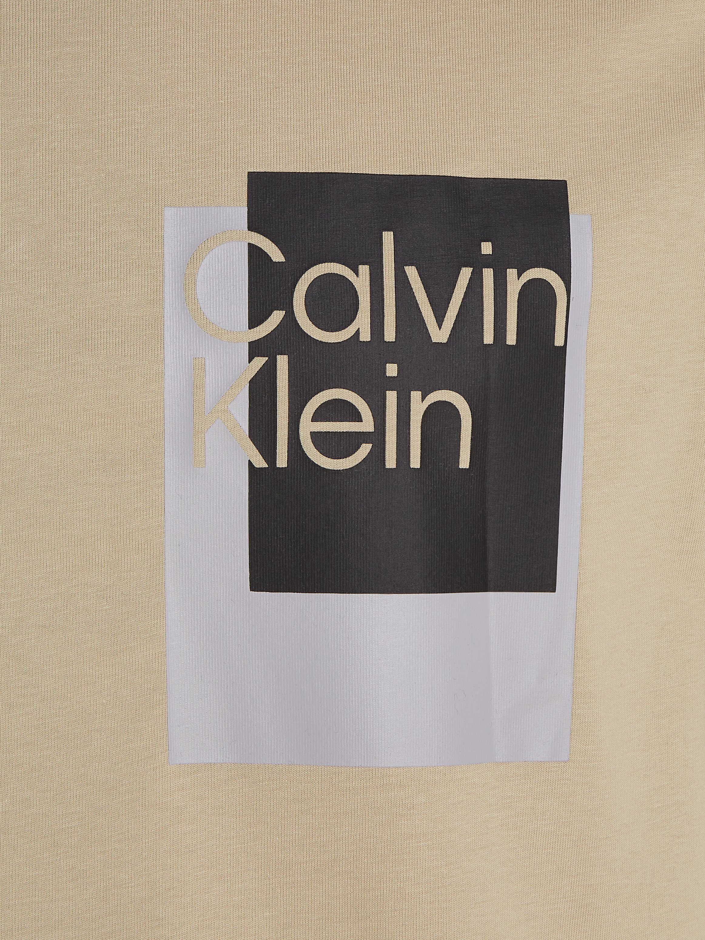 Calvin Klein T-Shirt OVERLAY BOX T-SHIRT Eucalyptus LOGO