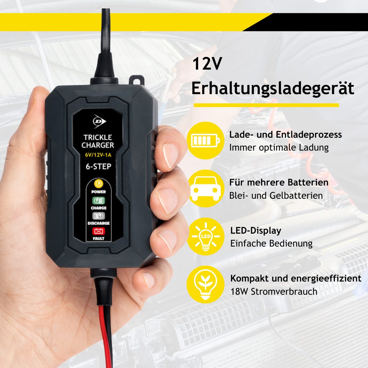 Dunlop Dunlop Batterieladegerät 6/12V Autobatterie-Ladegerät