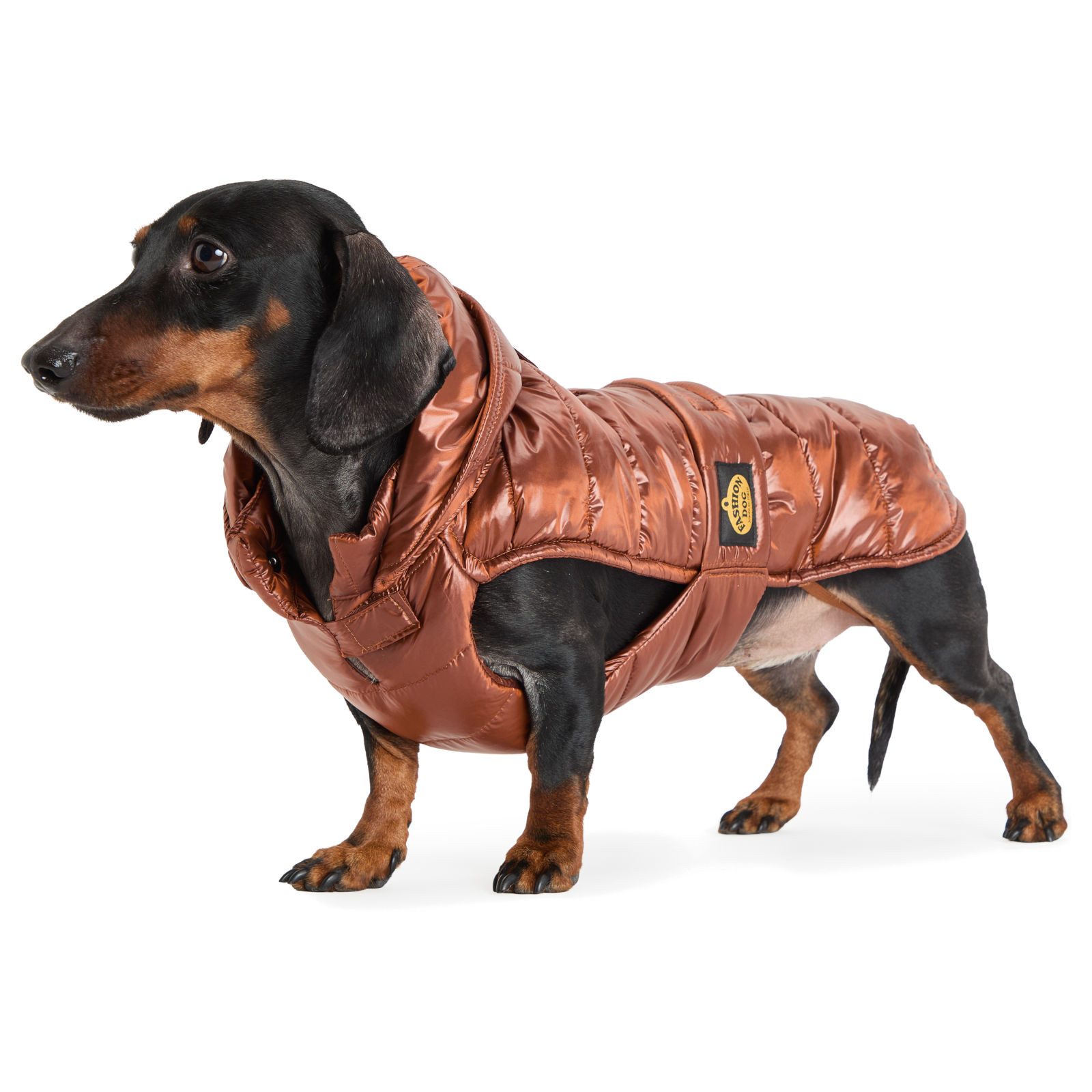 Fashion Dog Hunderegenmantel gesteppter Regenmantel speziell für Dackel, Bronze-Metallic