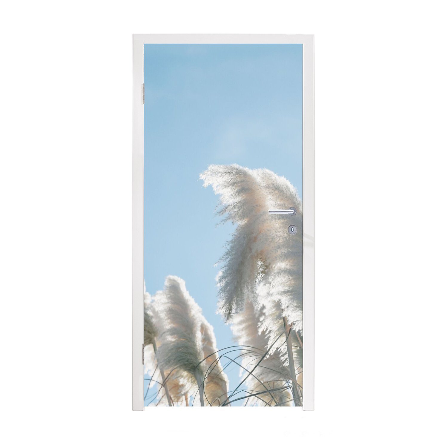 MuchoWow Türtapete Himmel - Gras - Pampasgras, Matt, bedruckt, (1 St), Fototapete für Tür, Türaufkleber, 75x205 cm