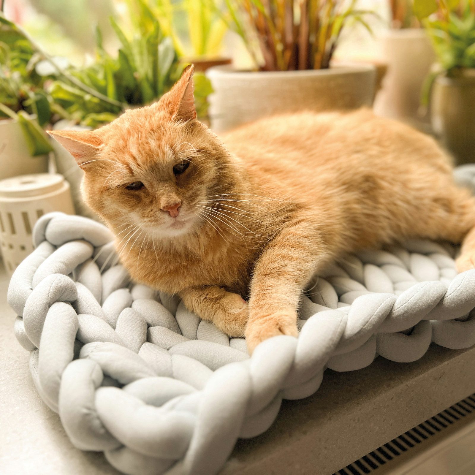 Aumüller Tierkissen Fensterbankliege für Katzen, Katzenbett aus Grobstrick, Grau