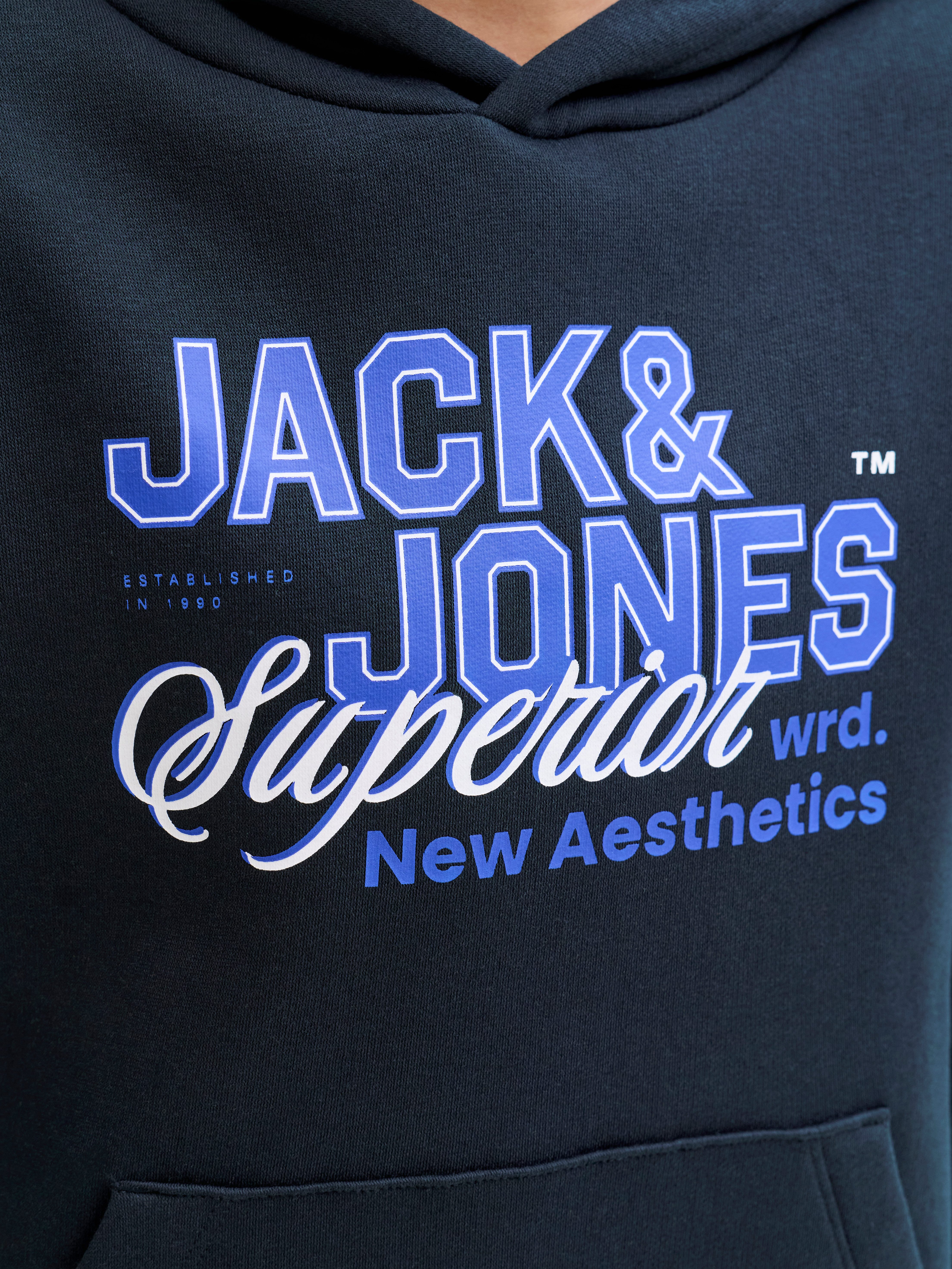 Jack & Jones Junior Kapuzensweatshirt JJELOGO SWEAT HOOD 2 COL AW25 NOOS JNR
